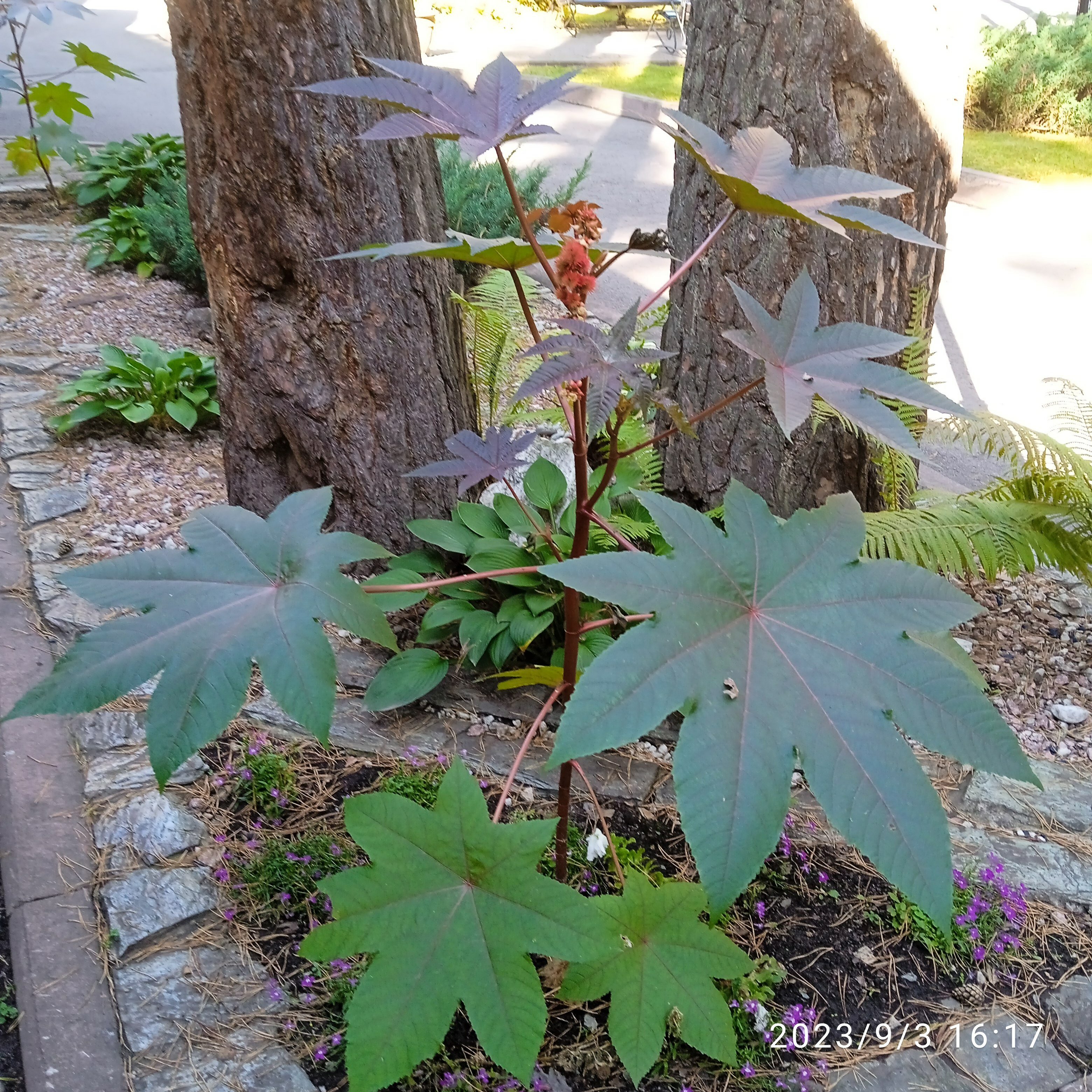 Фото Грааль