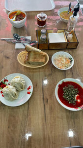 Зирекле (Republic of Tatarstan, Novosheshminskiy rayon, Zireklinskoye selskoye poseleniye, selo Yerykly), cafe