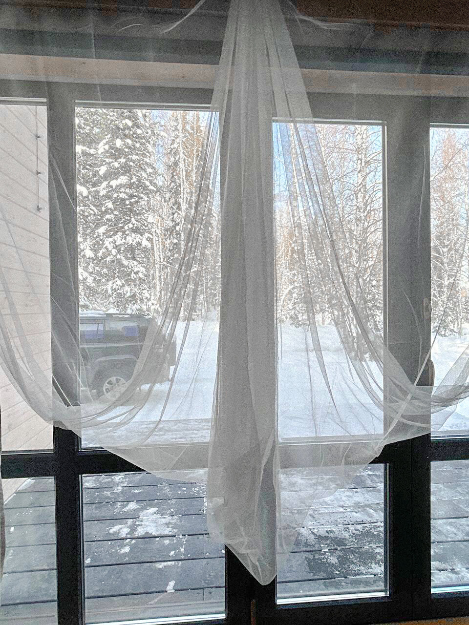 Фото Брусника № 1