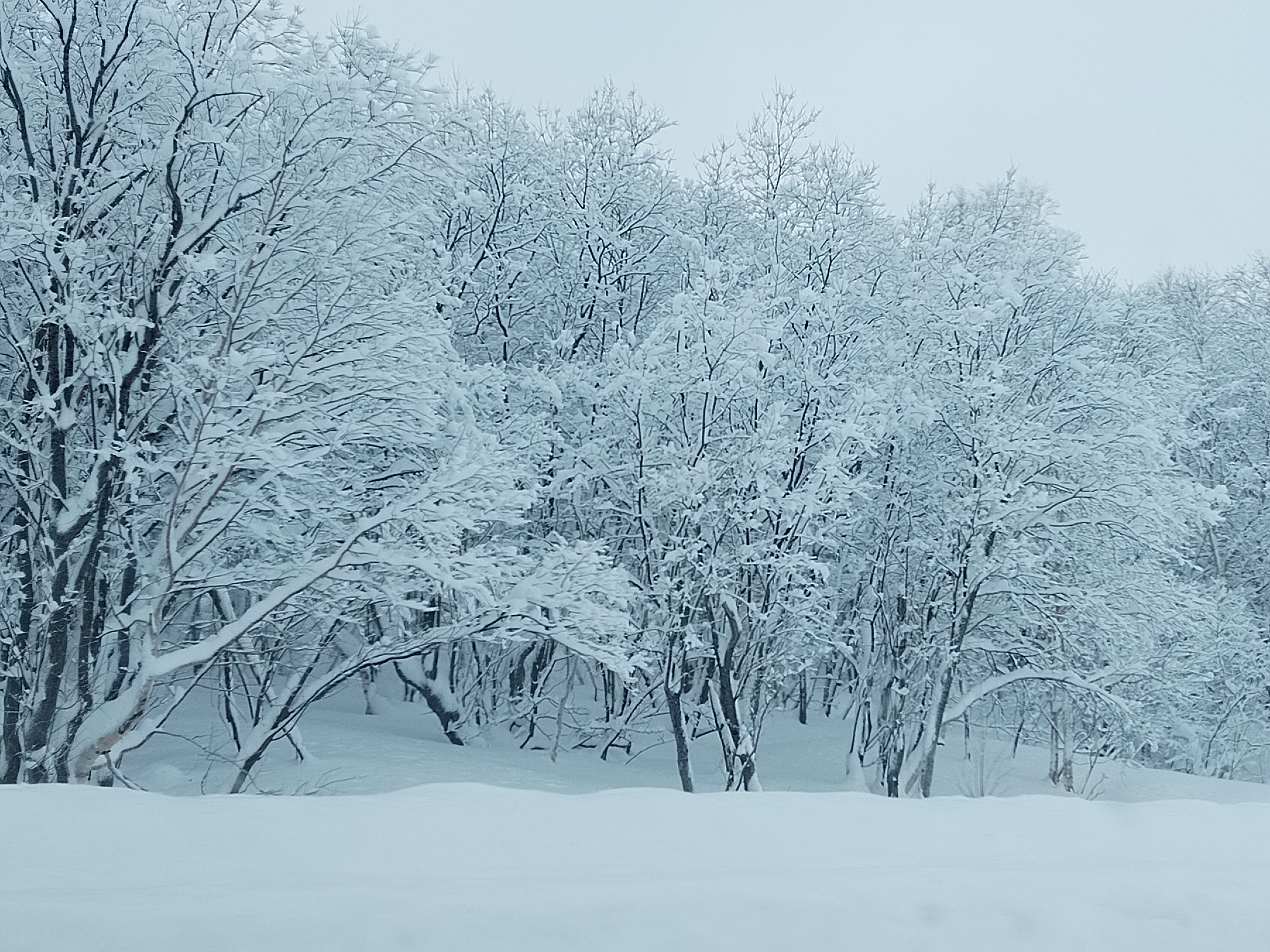 Фото Начикинский санаторий