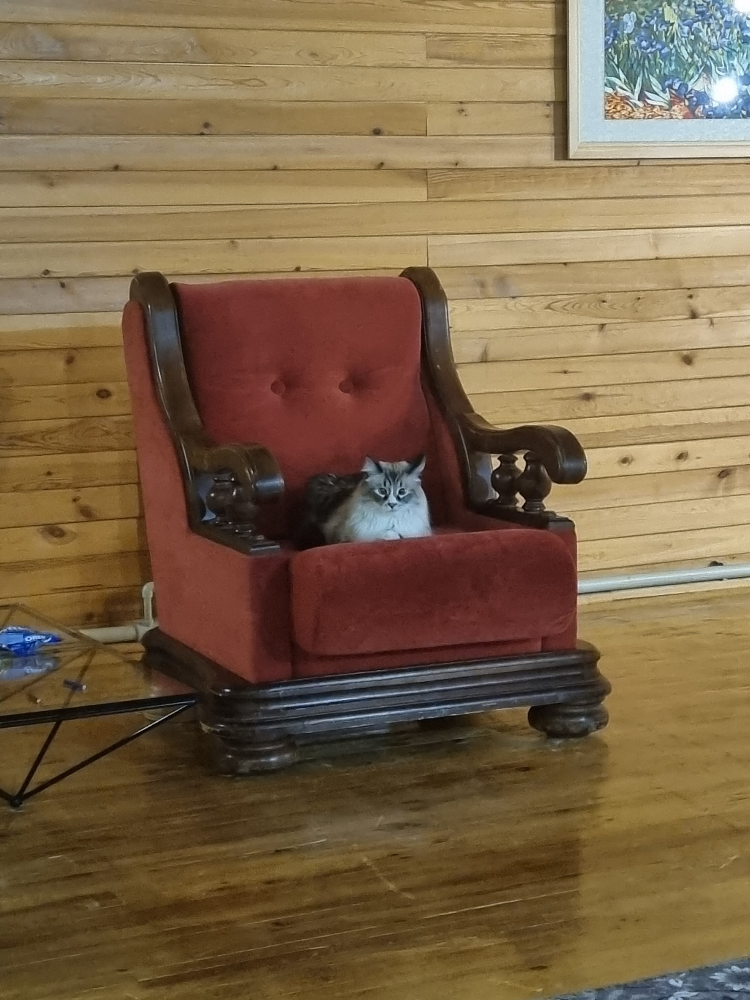 Фото Телецкие Терема