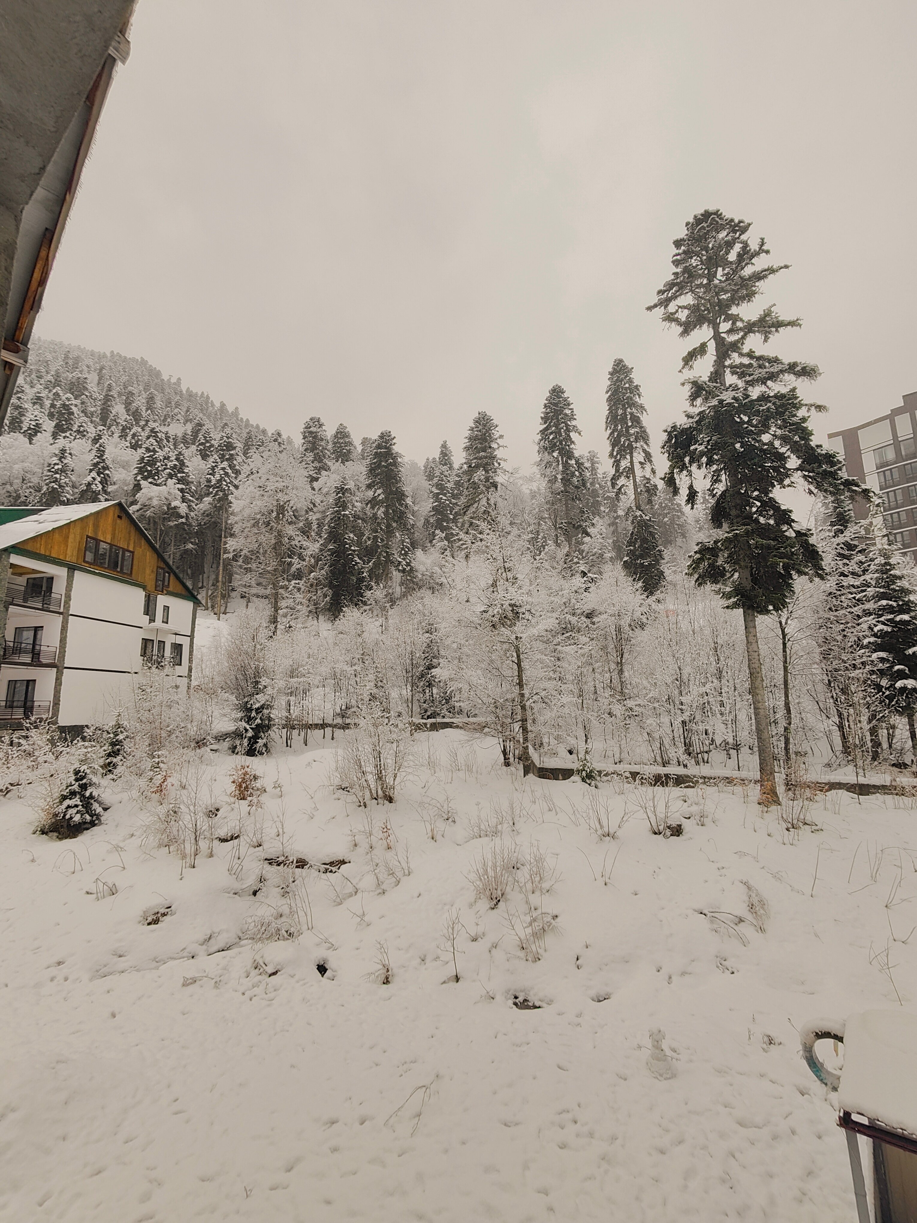 Фото Алания