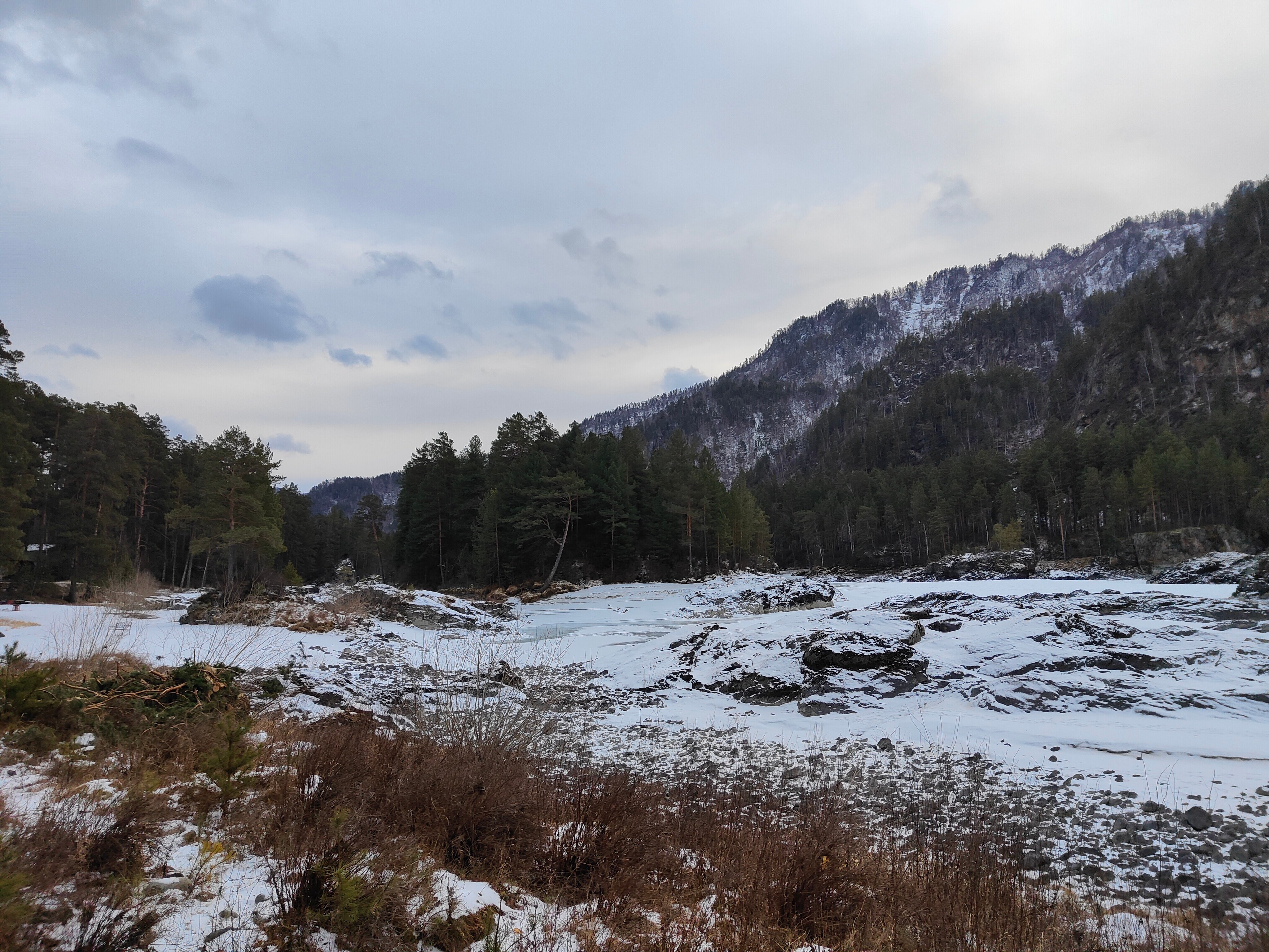 Фото Кедровый остров