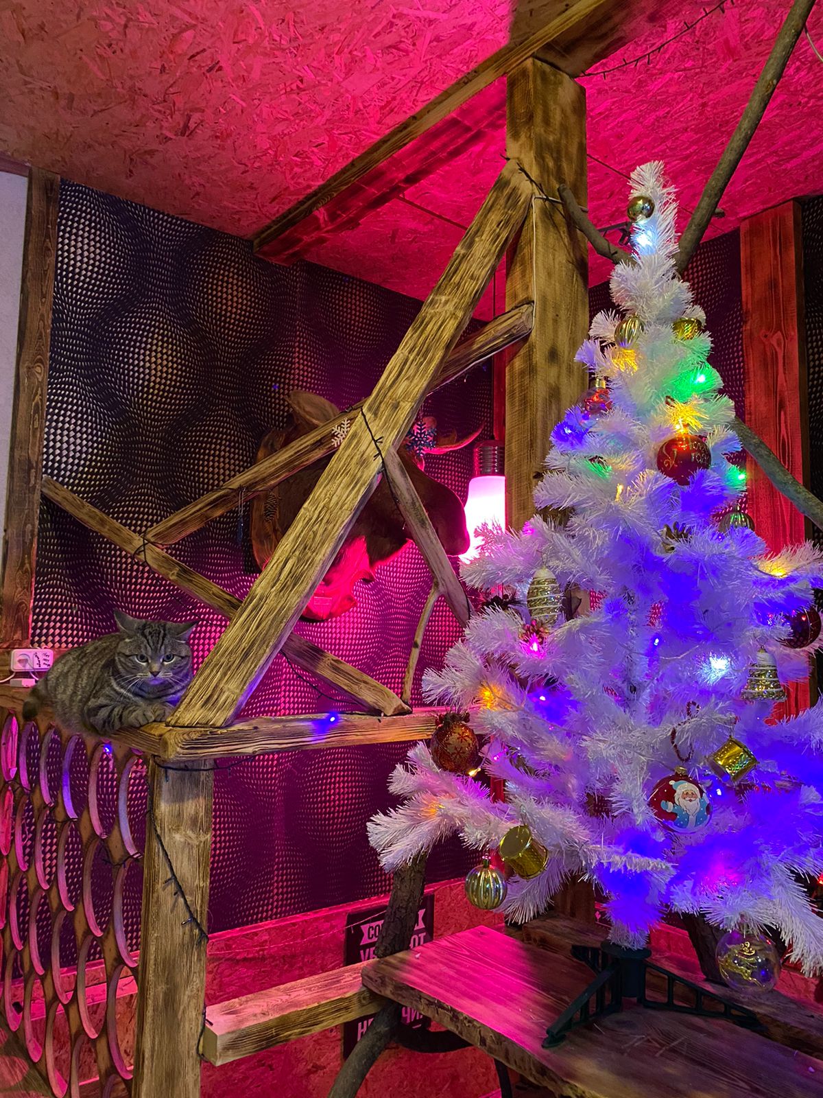 Фото Удачная дача