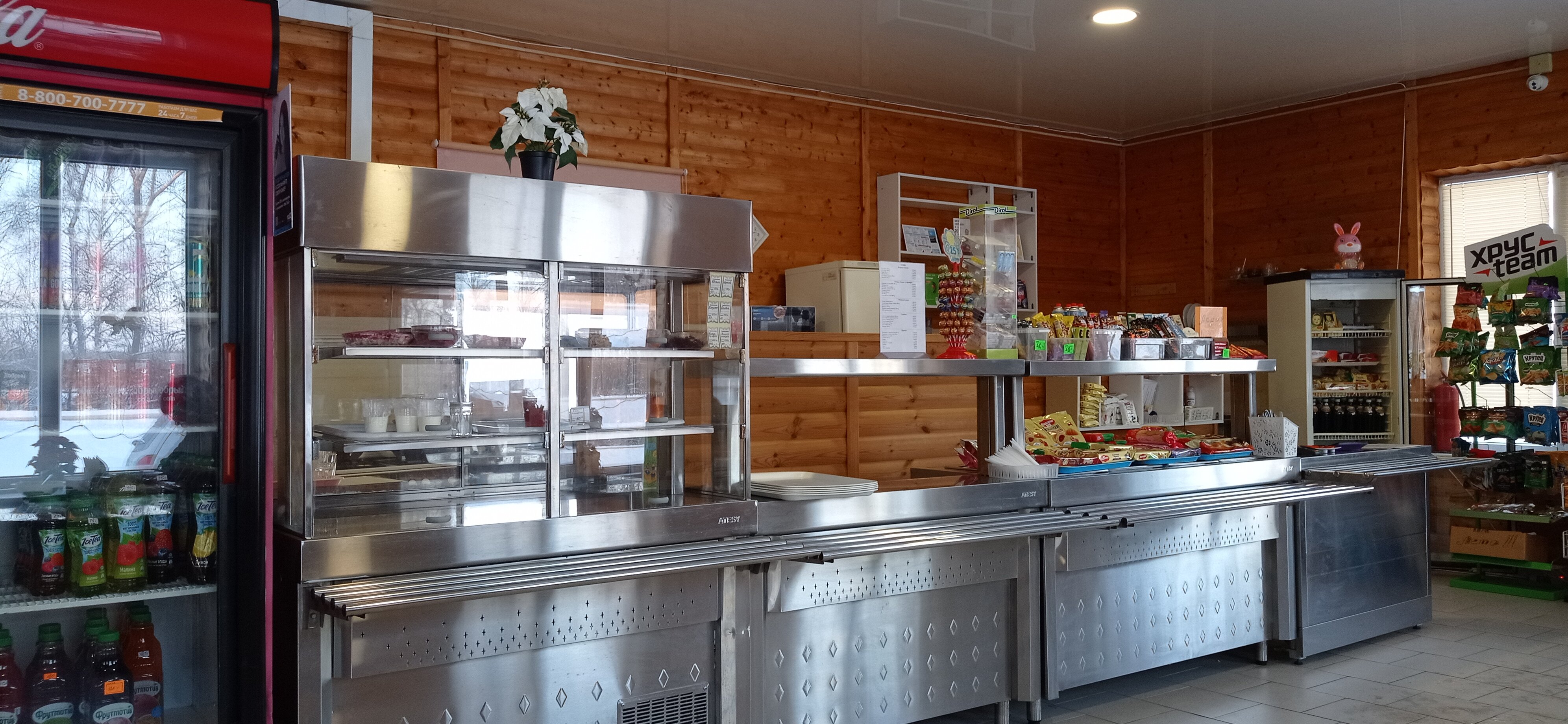 Фото Берёзка