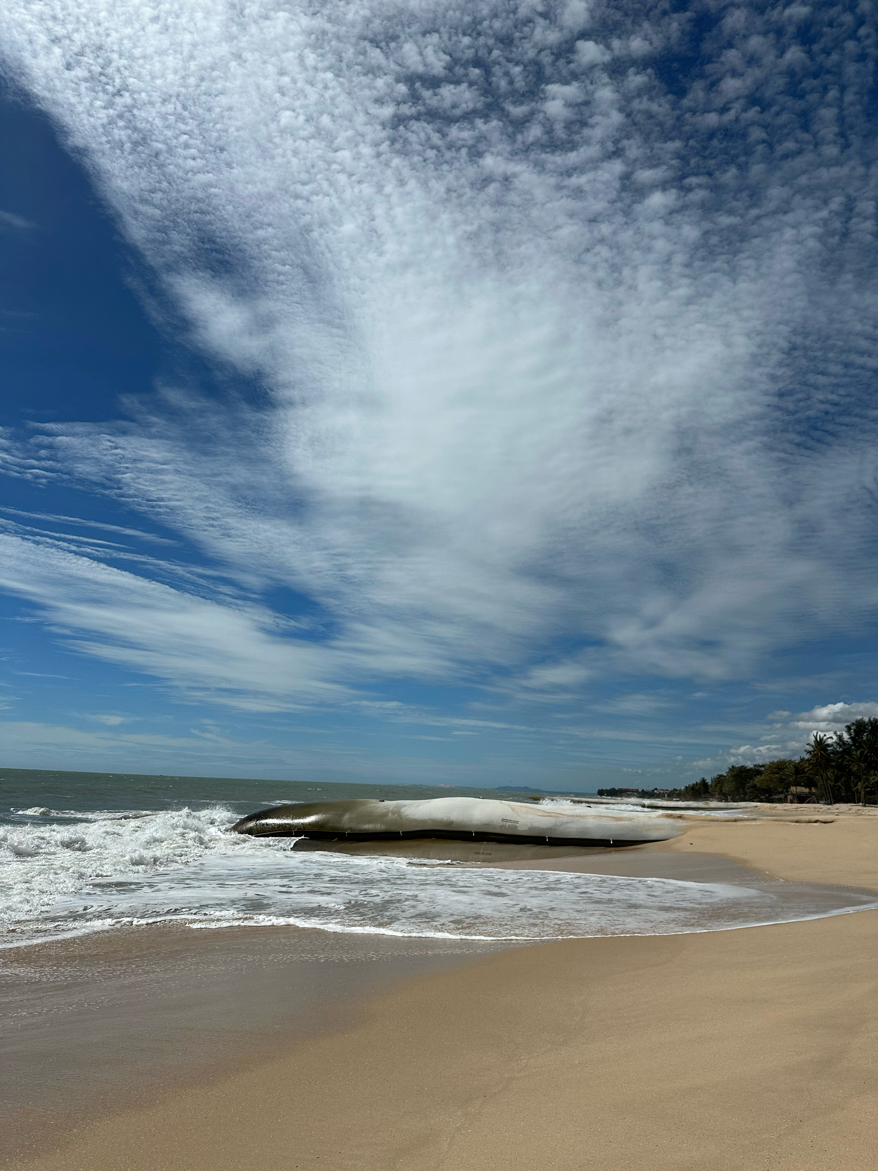 Фото Sunny Beach Resort