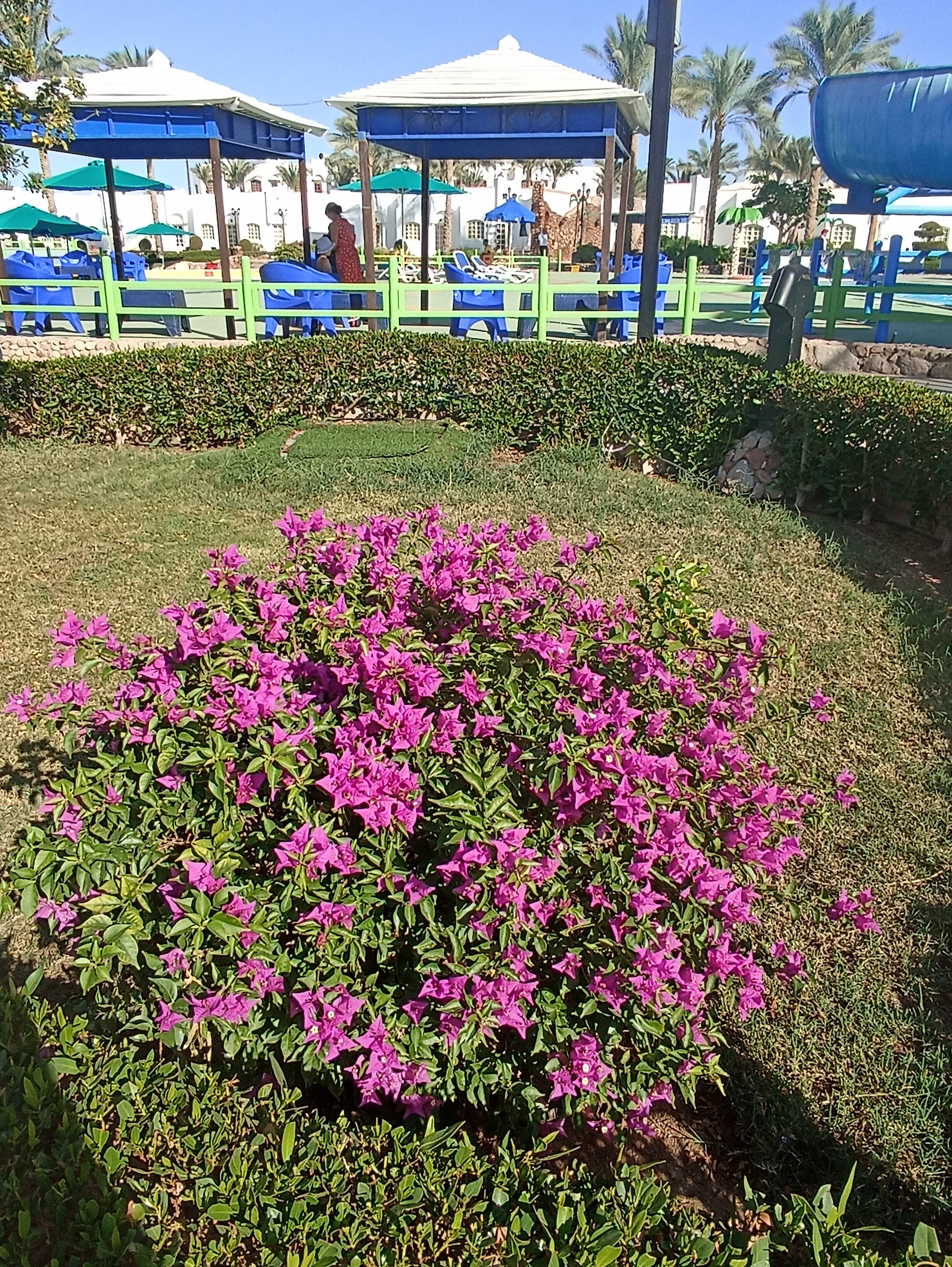 Фото Gafy Resort