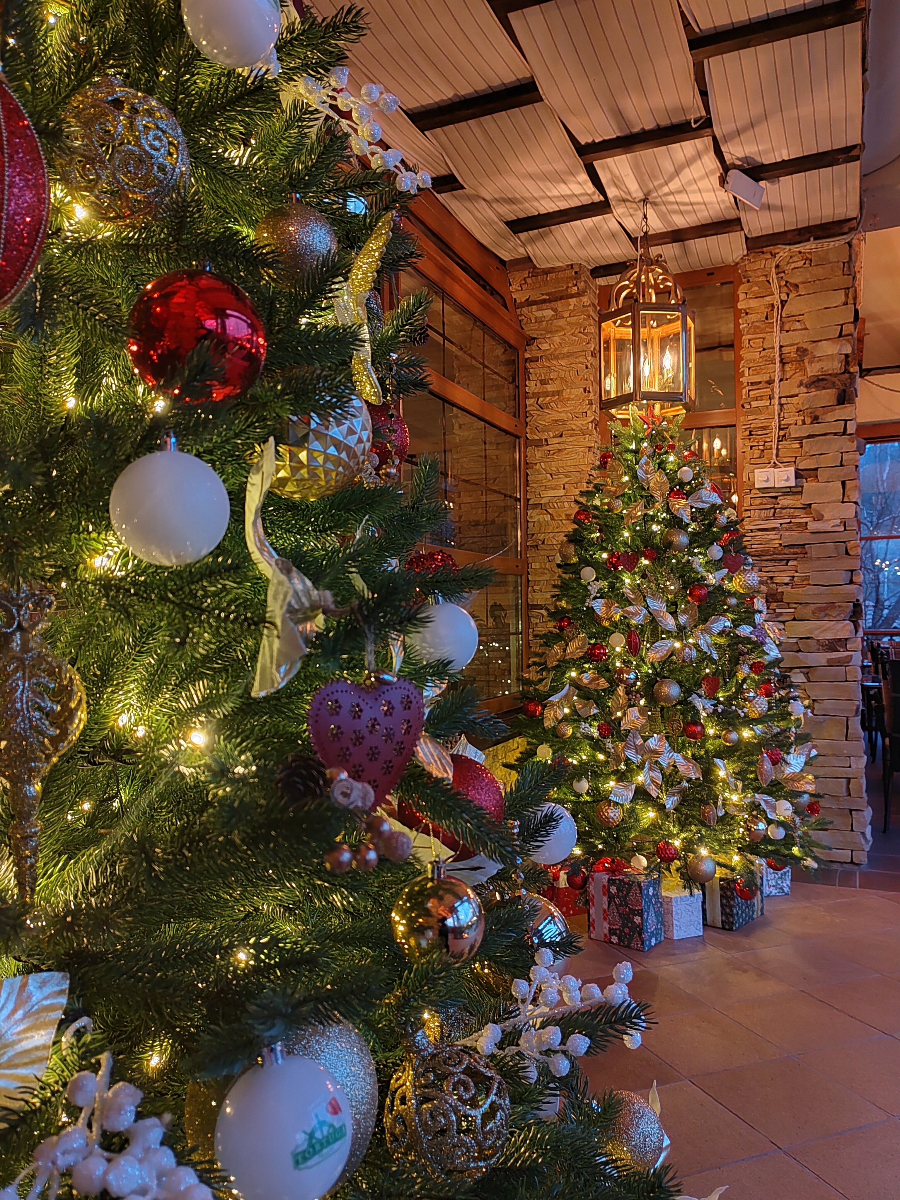 Фото Тортуга