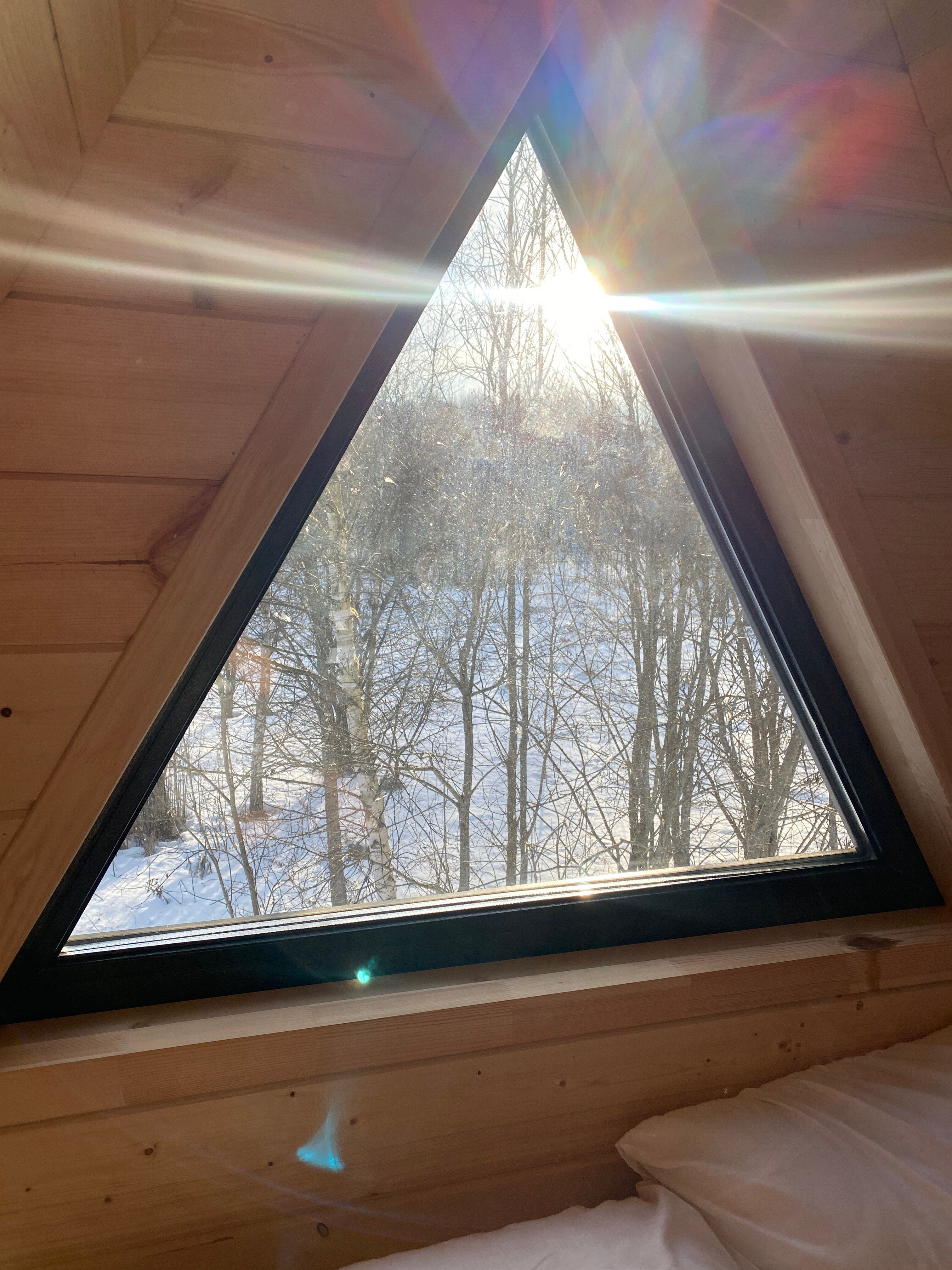 Фото Просто Cosmos