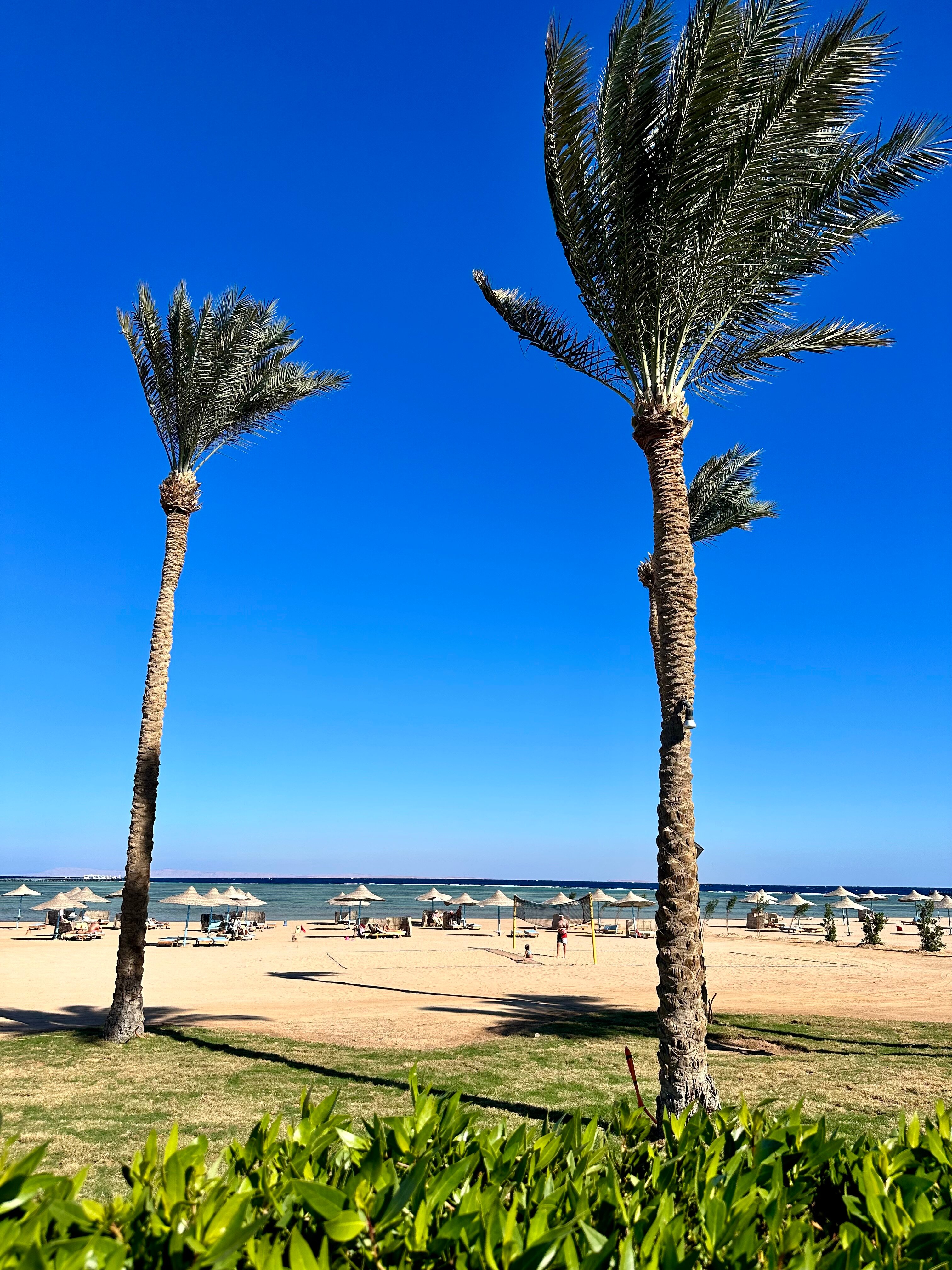 Фото Amwaj Oyoun Resort