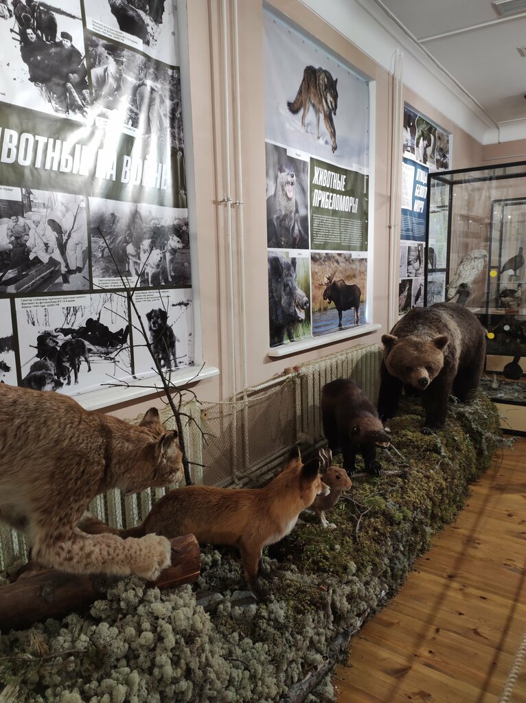 Museum Музей жертв фашизма имени Максимилиана Кольбэ, Petrozavodsk, photo