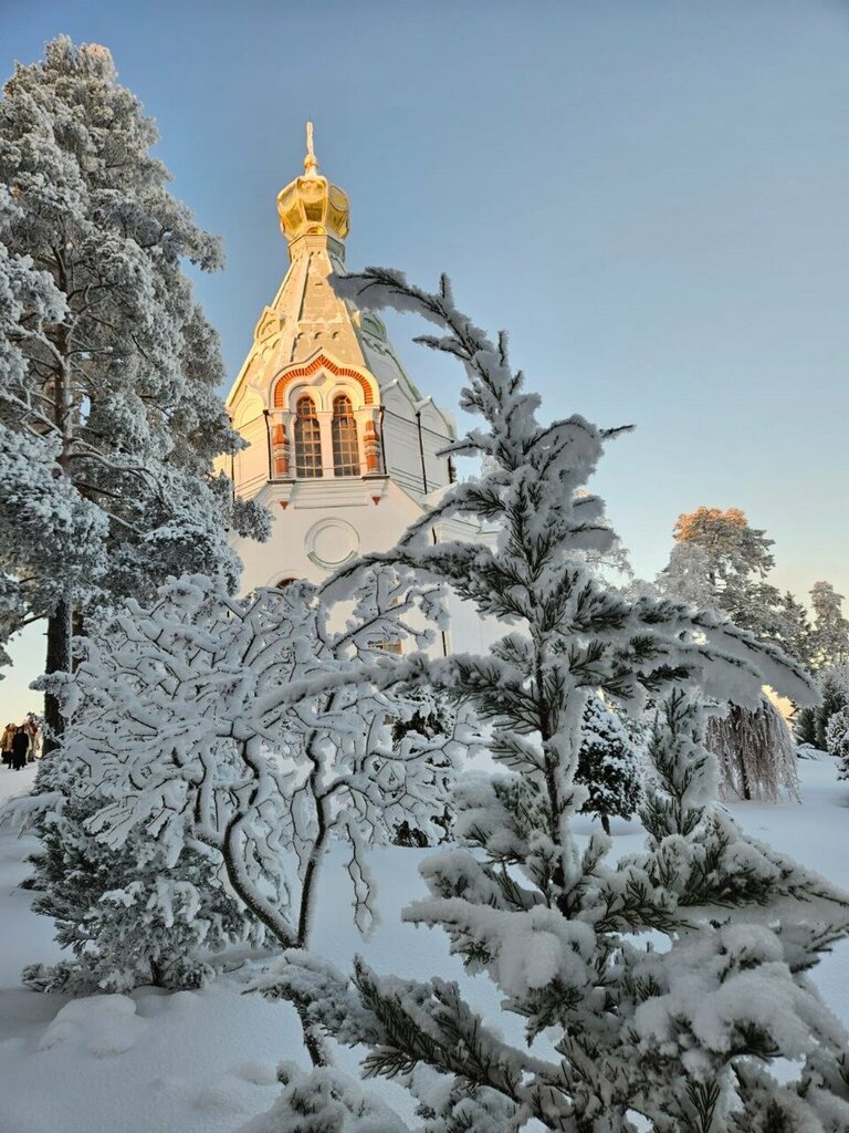 Товары и услуги для паломников Ковчег, Москва, фото