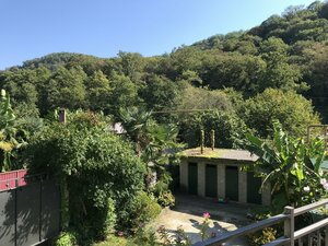 Зеленый рай