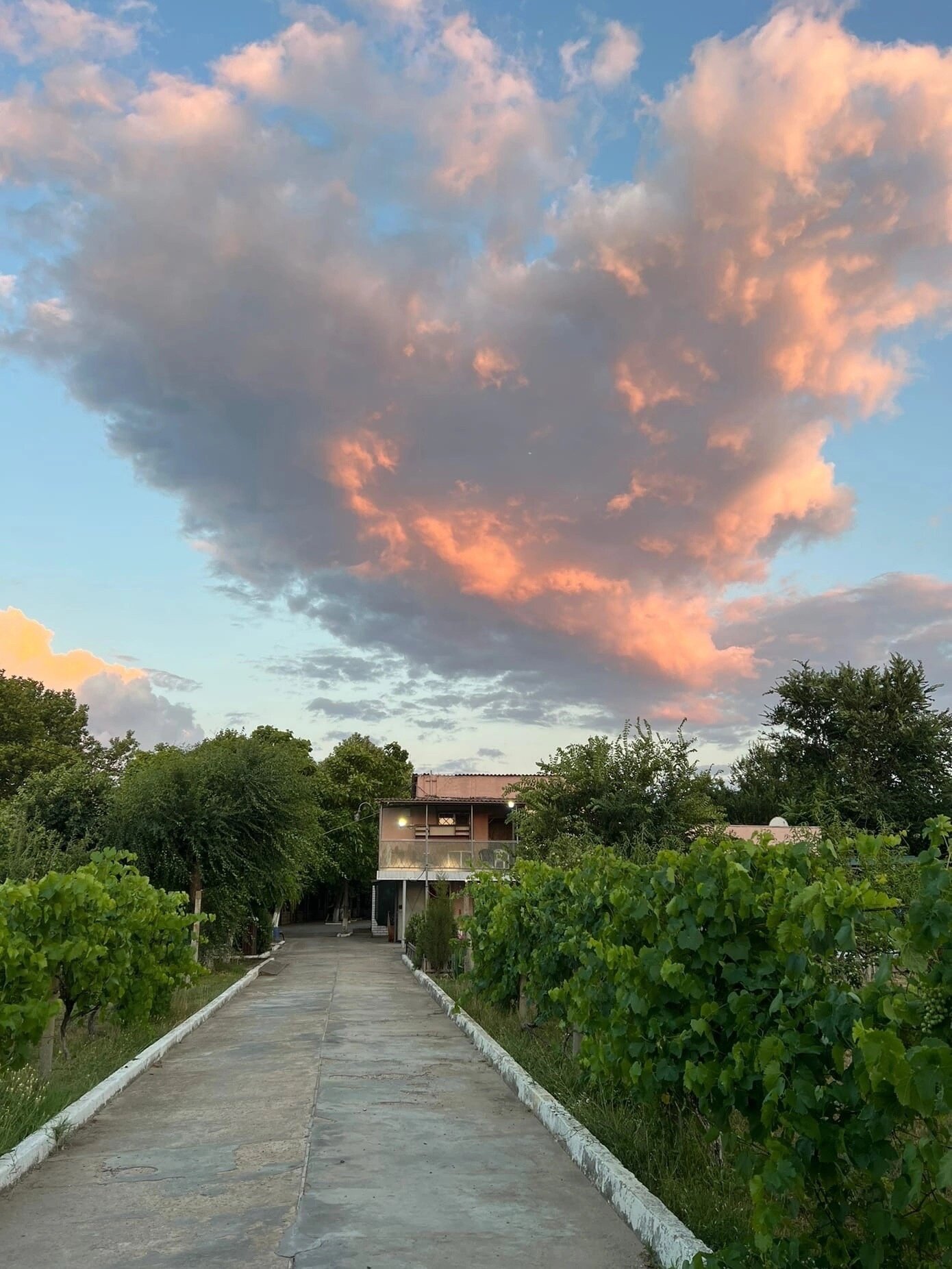 Фото Family House Midas