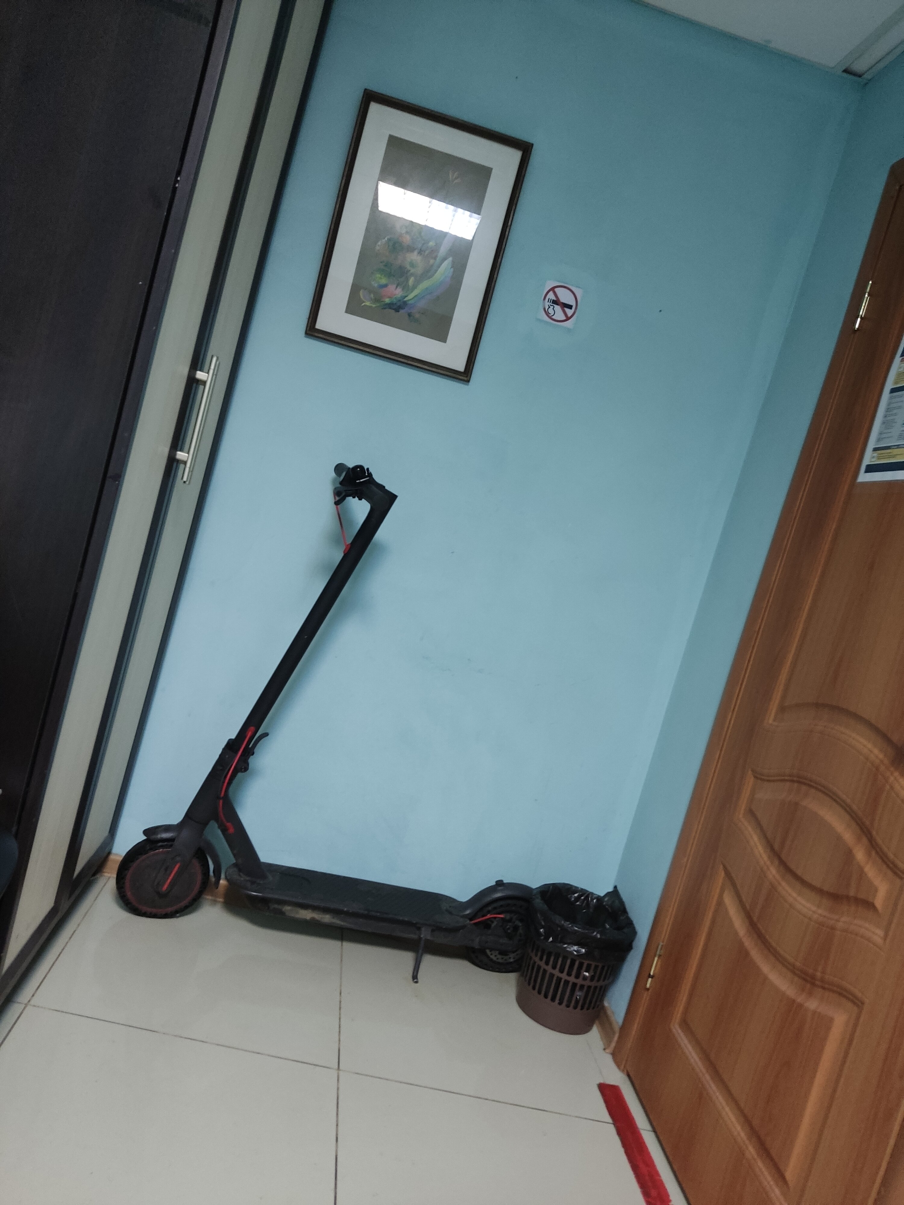 Фото Брусника Нагорная