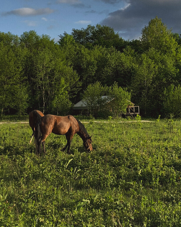Фото Время гор