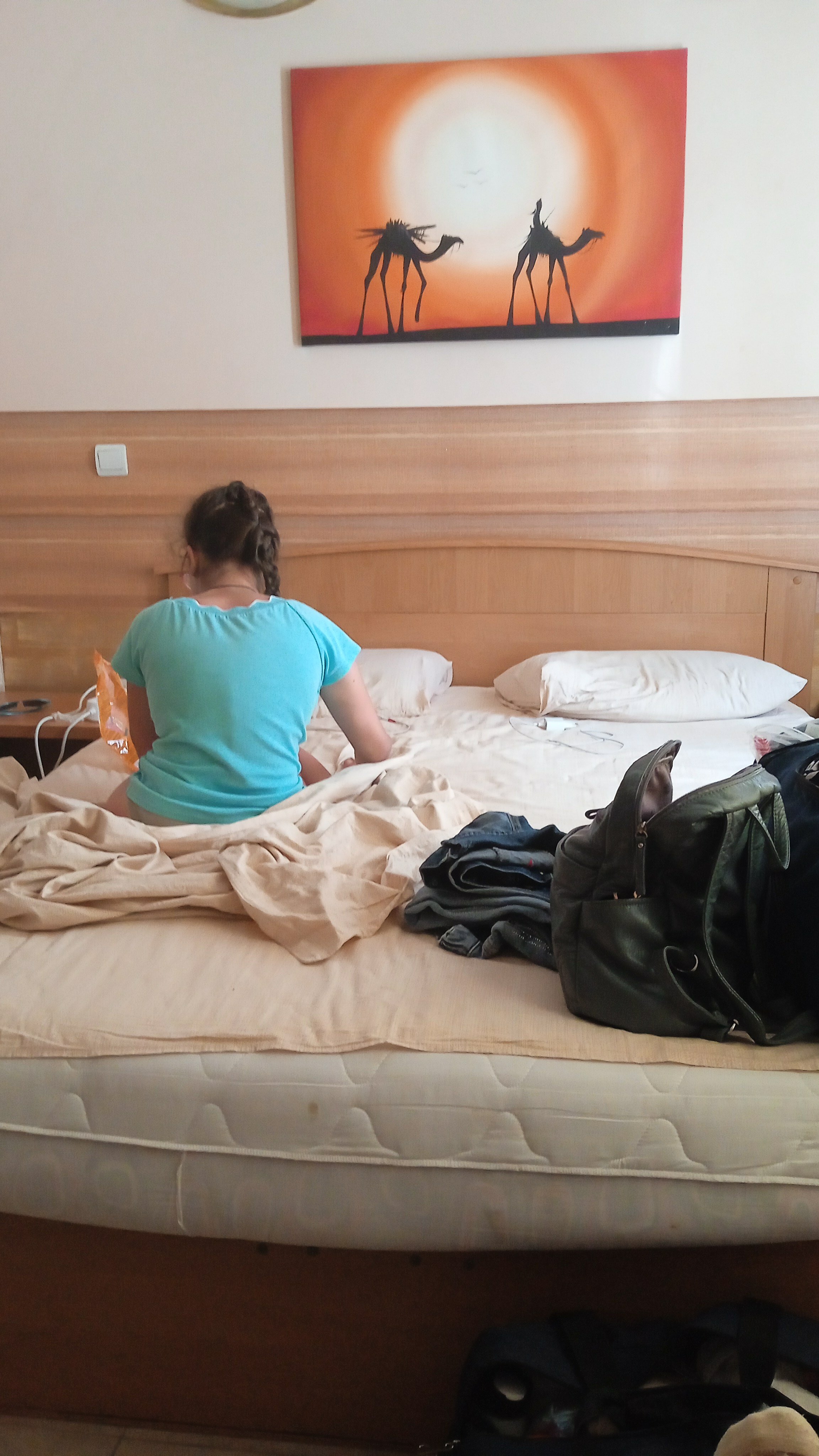 Фото Арабика