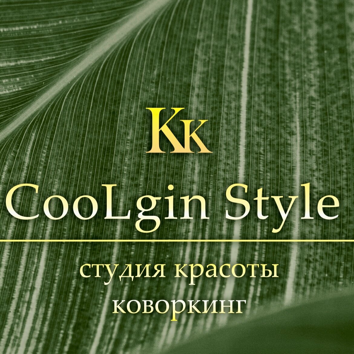 Кулгин Стайл