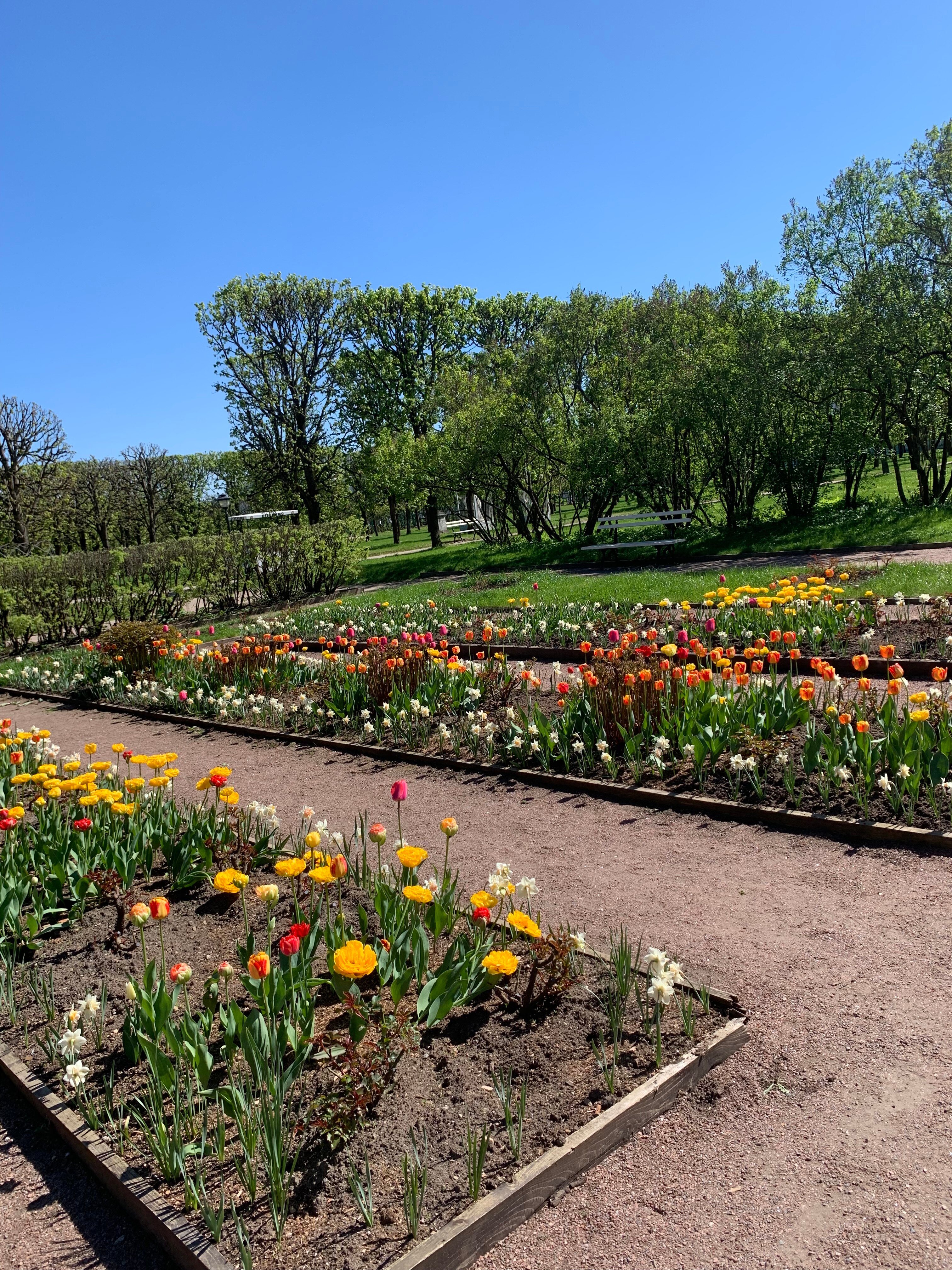 Фото Баден-Баден