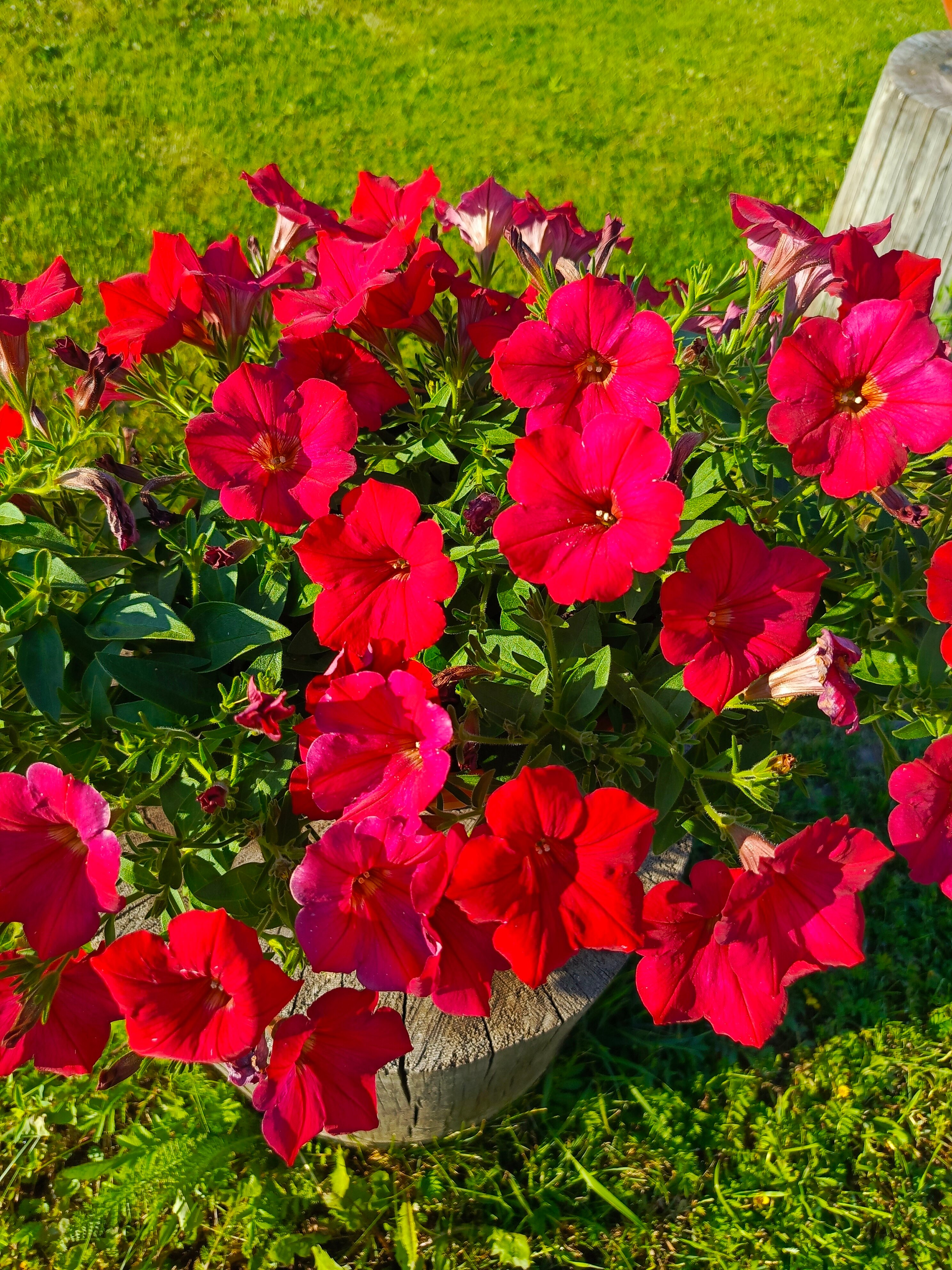 Фото В гостях у сказки