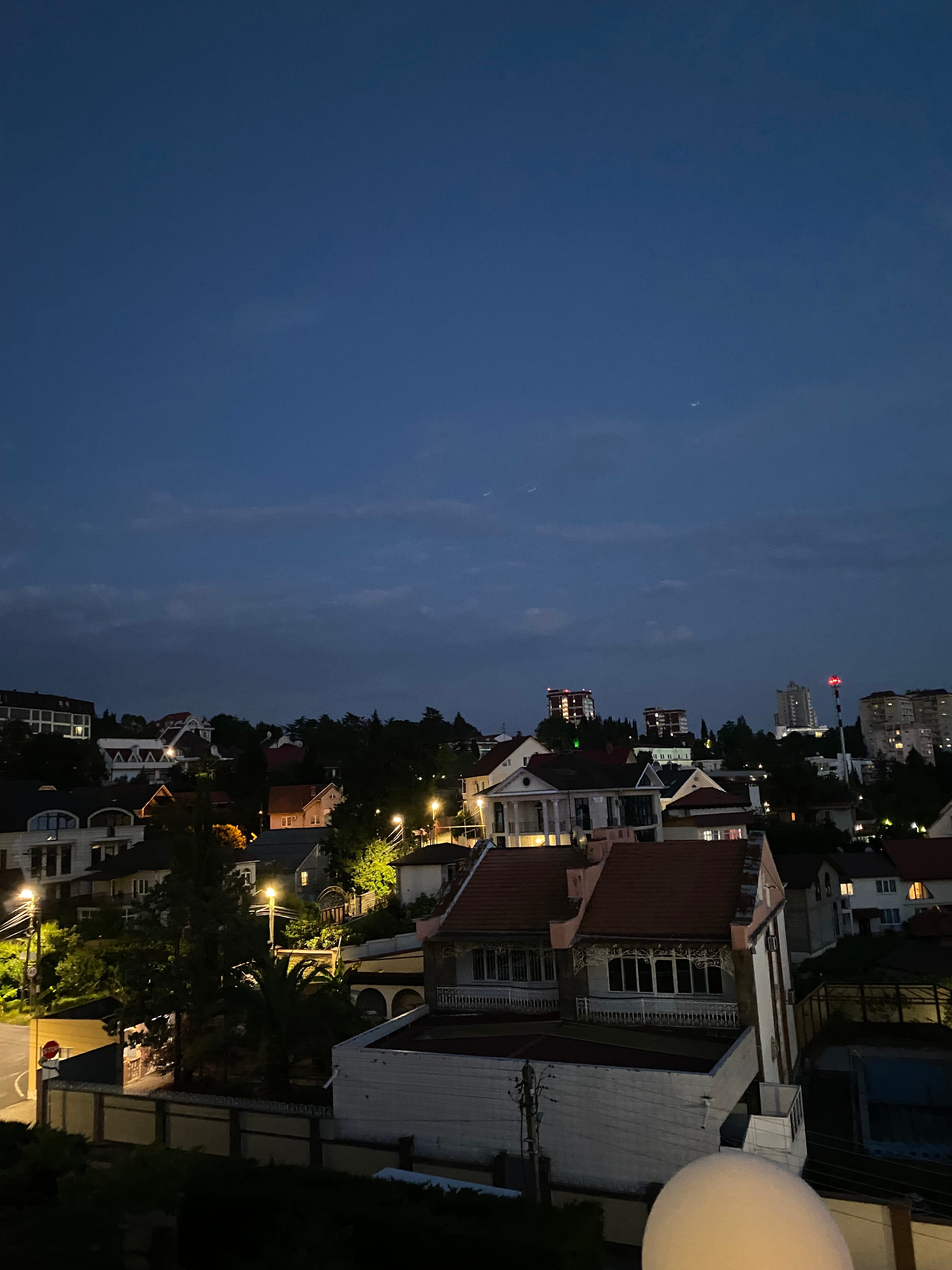 Фото Виноград