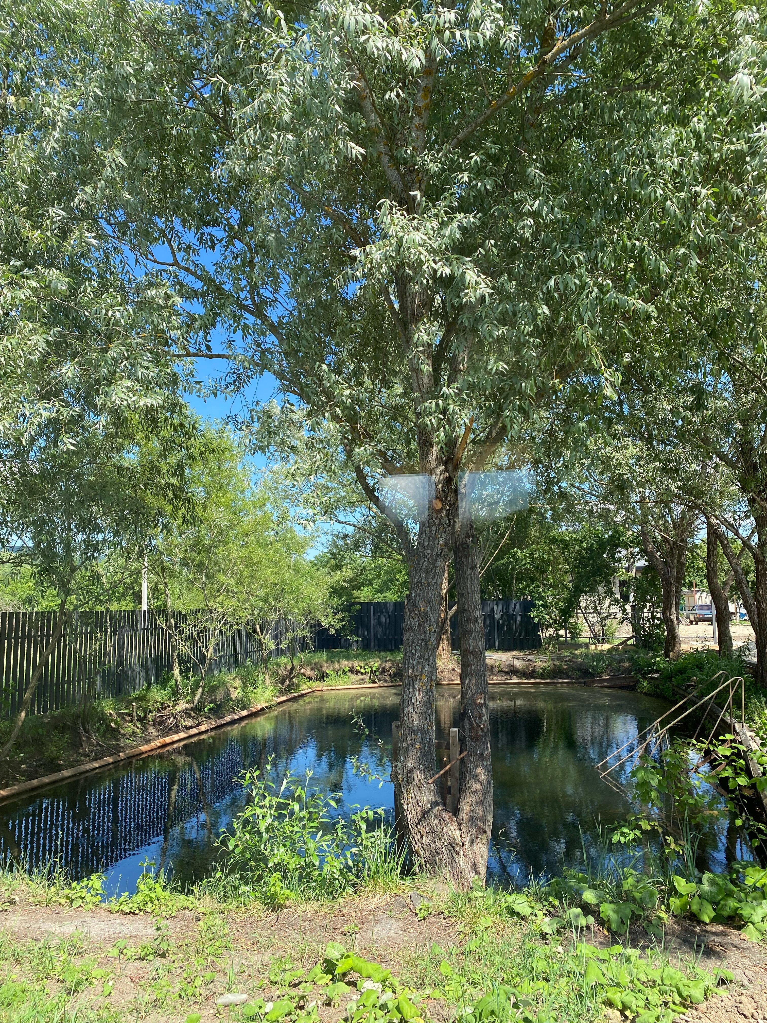 Фото Видисвет