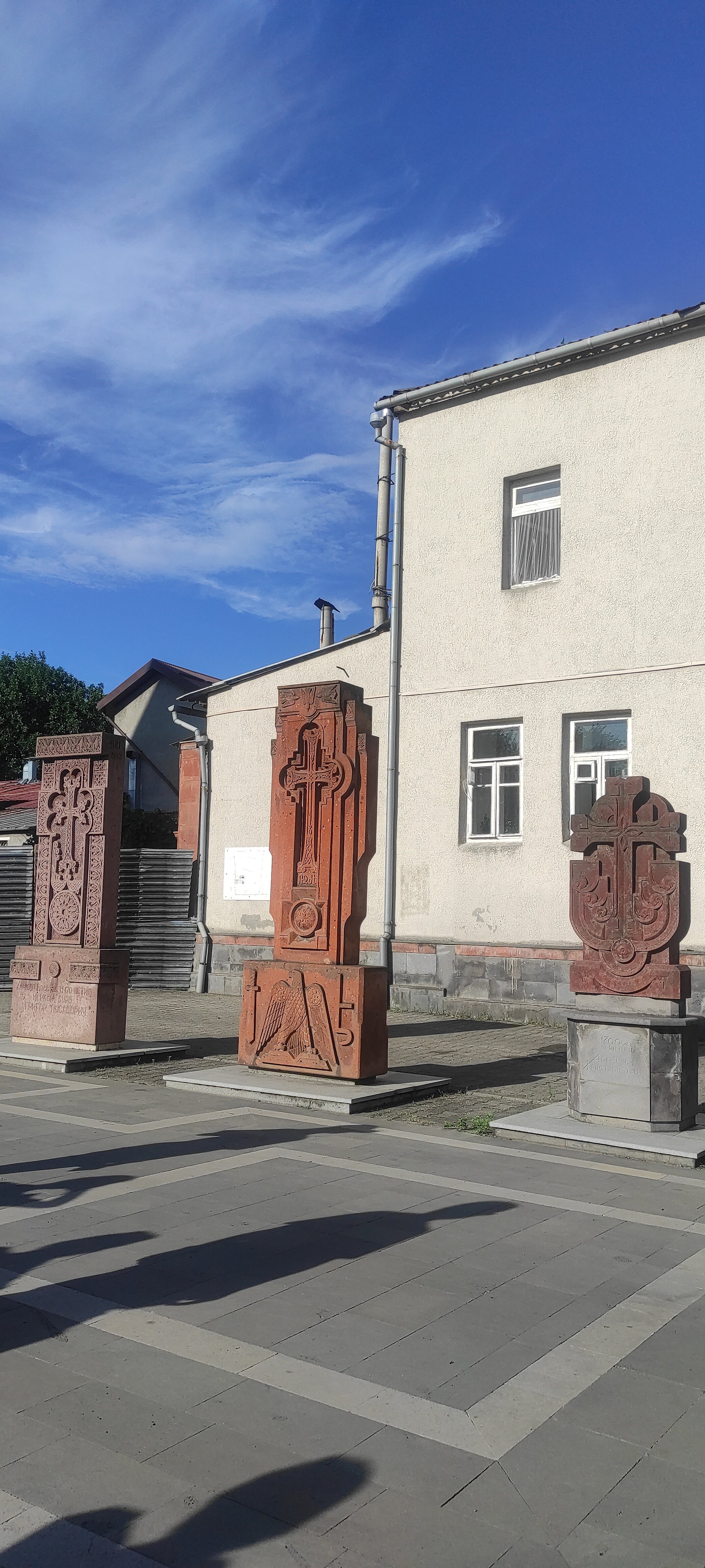 Фото Камелия-В