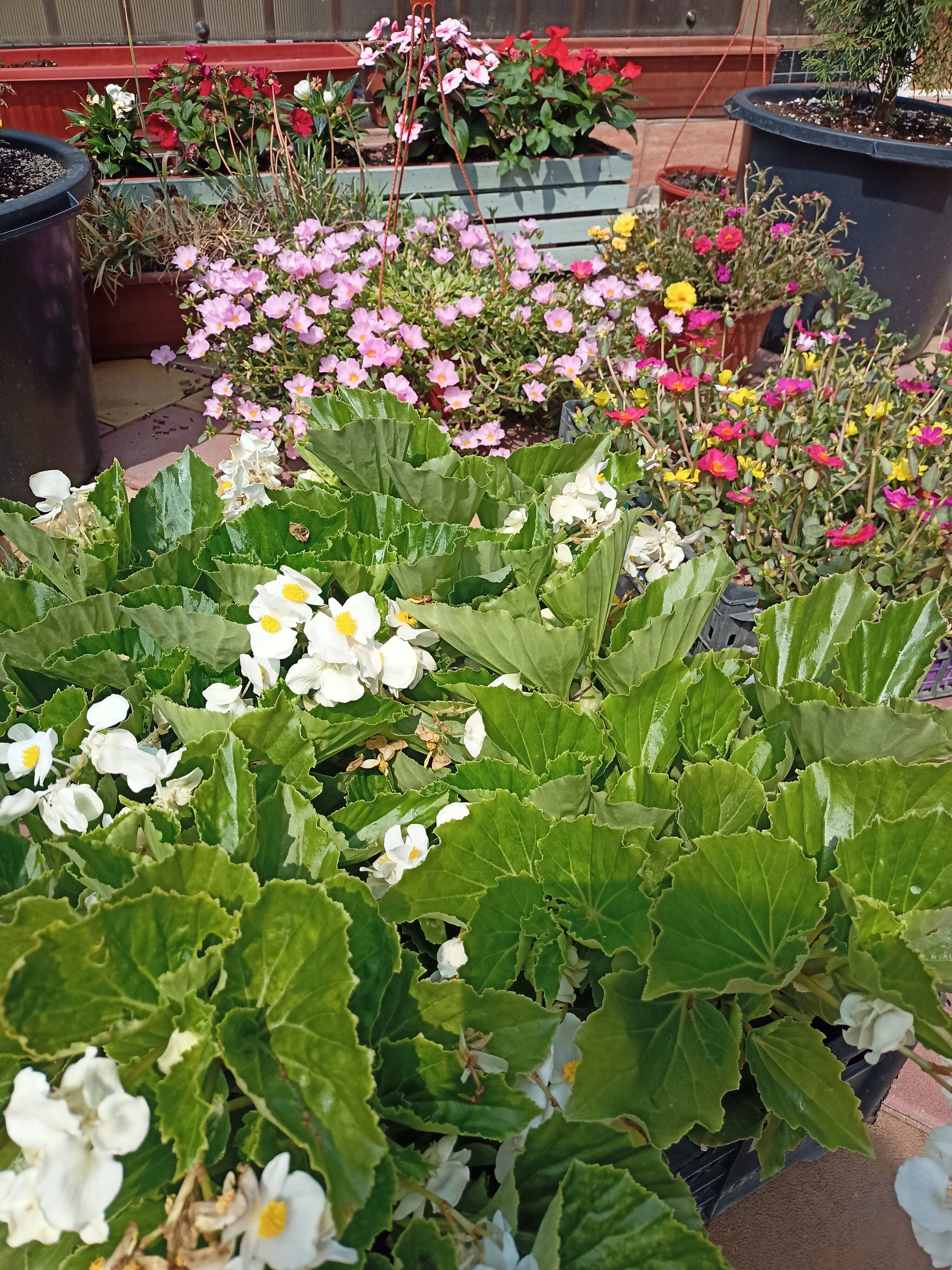 Фото Август