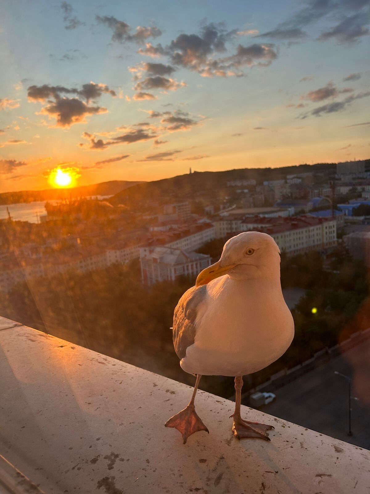 Фото Меридиан