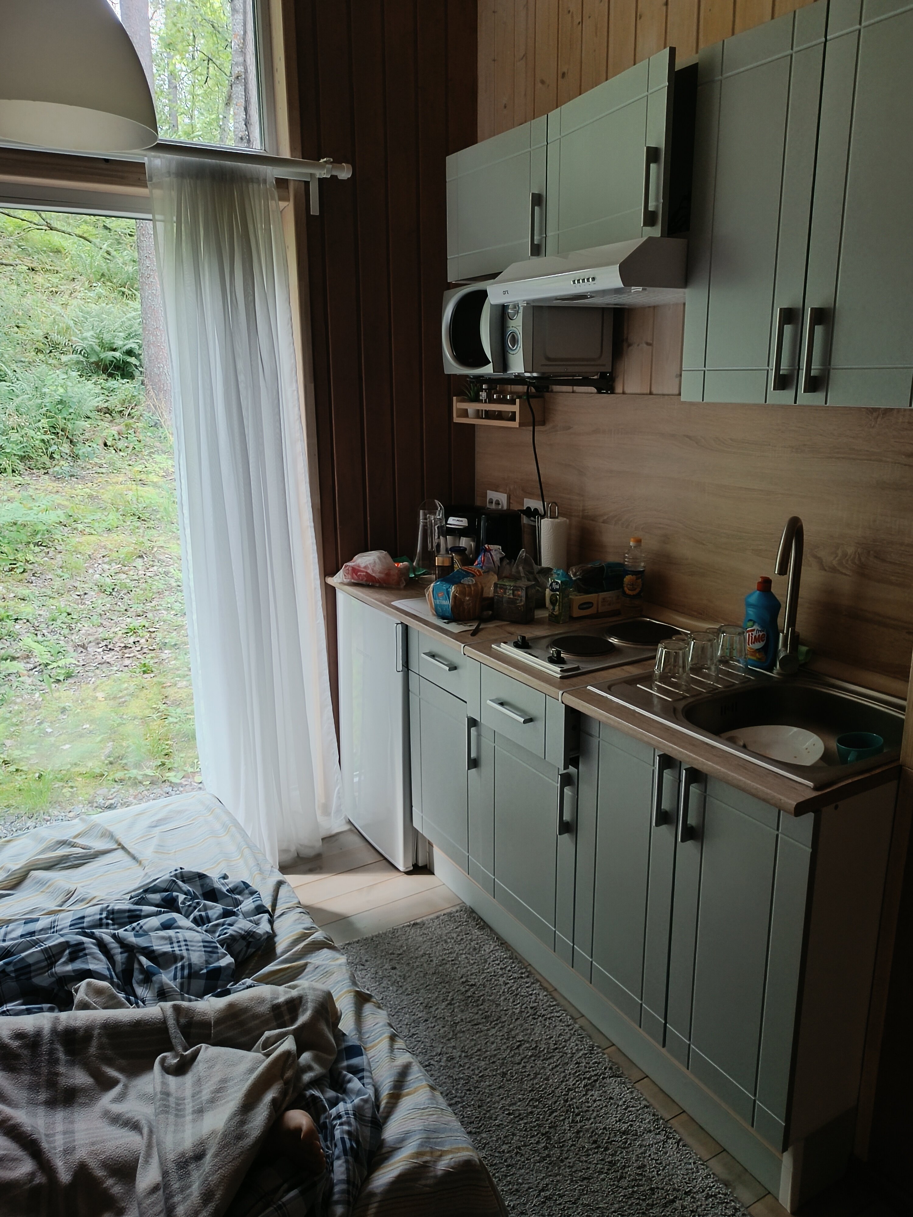 Фото Forest Park