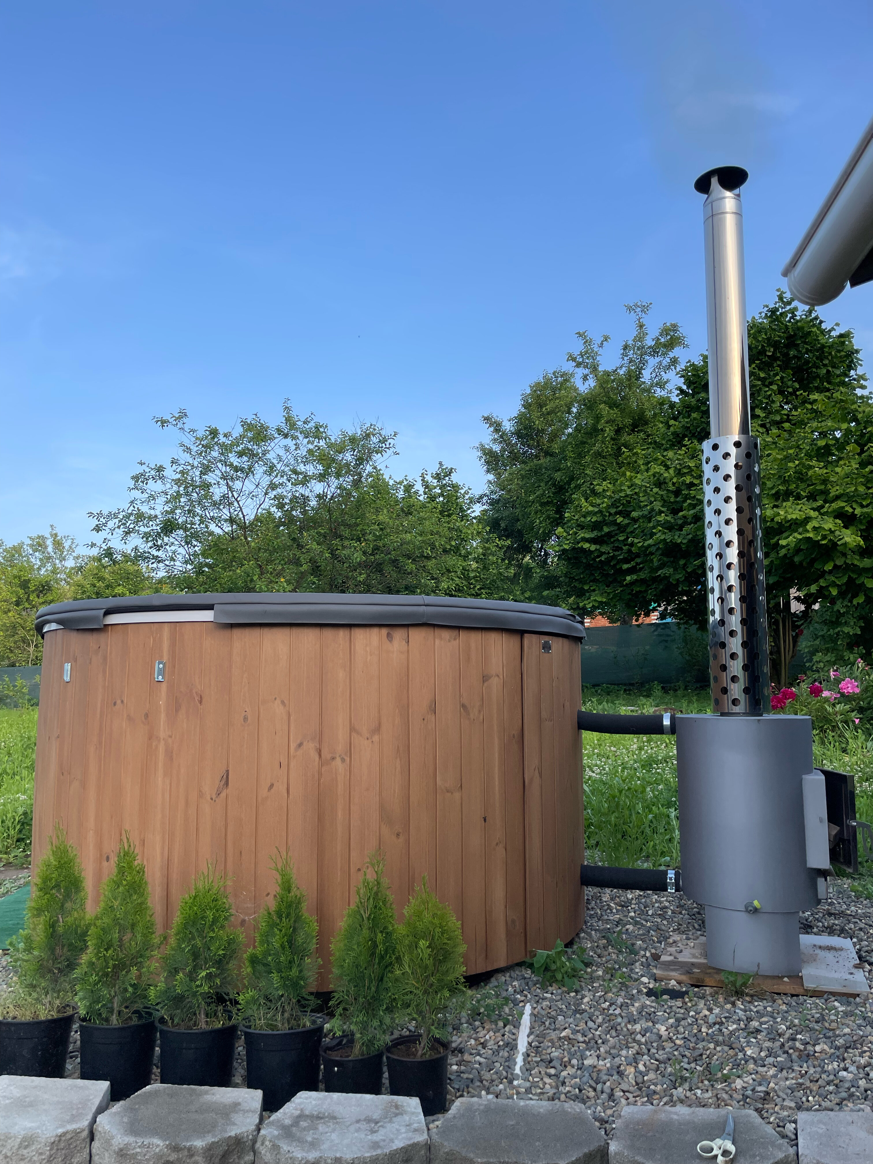 Фото Смородина