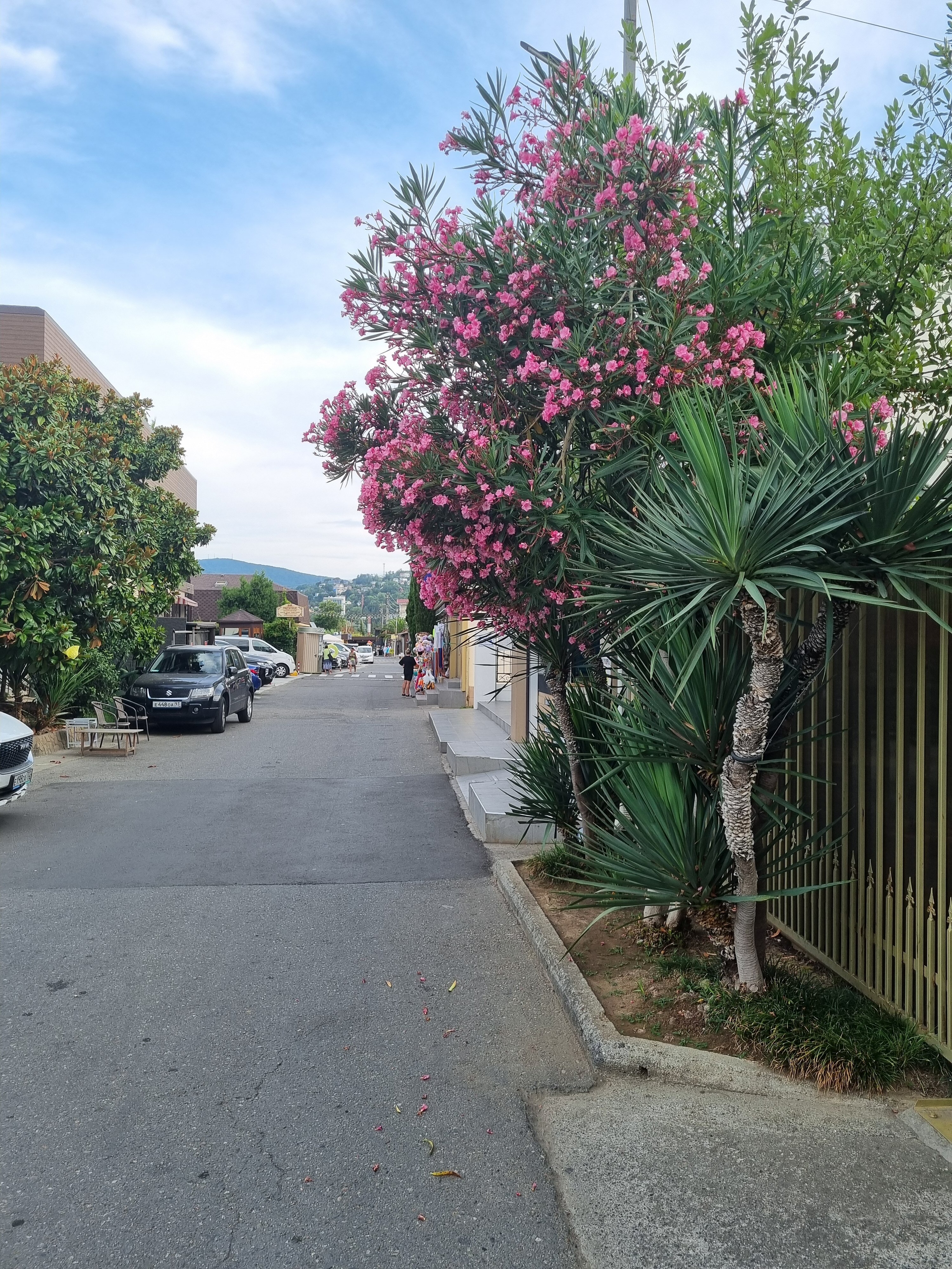 Фото Тихая Гавань