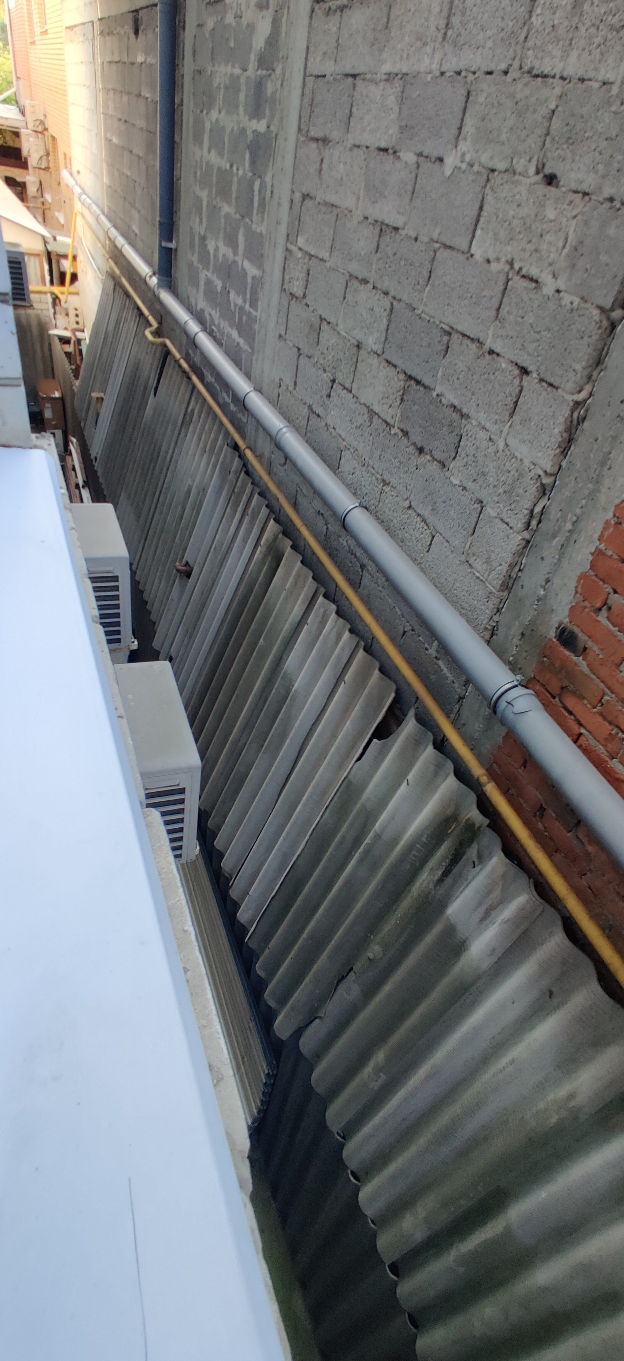 Фото Каприз