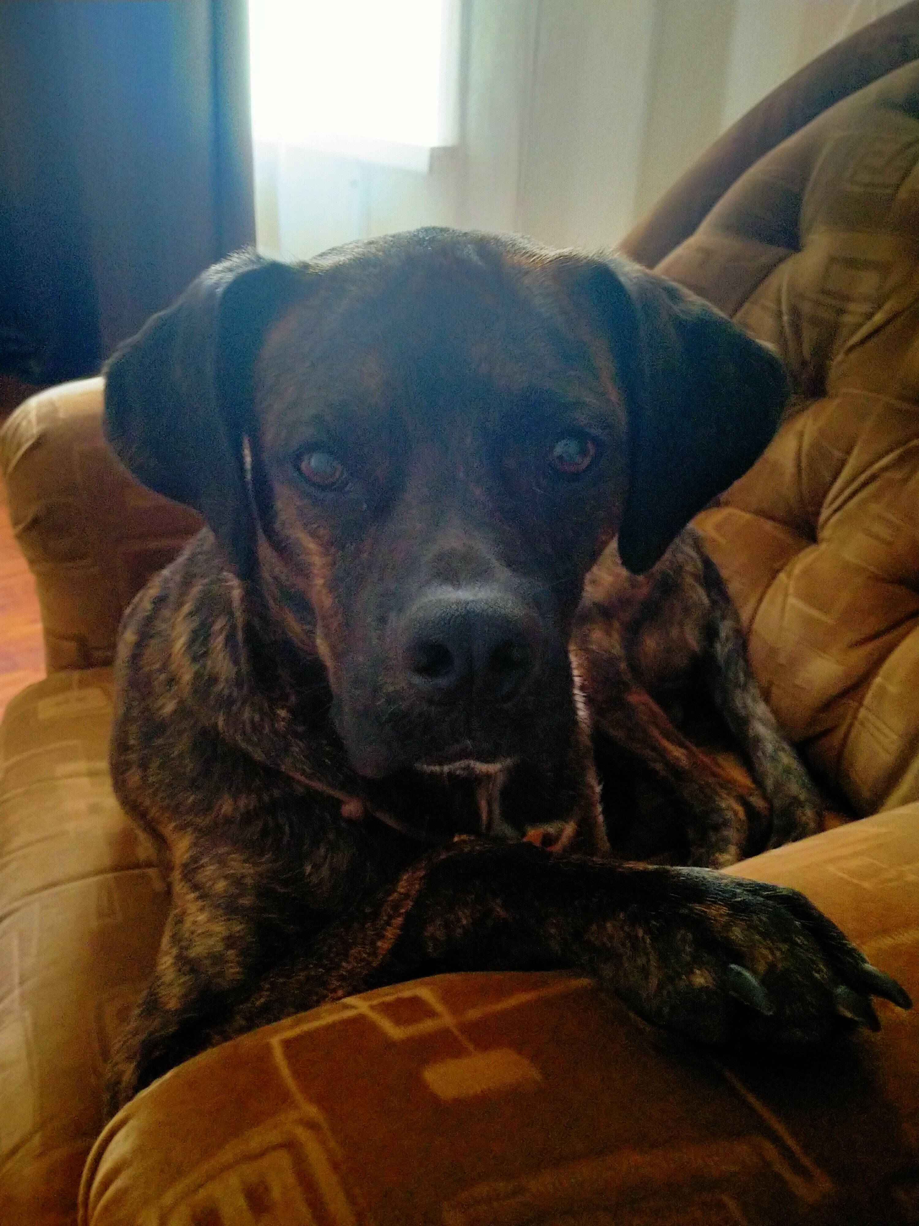 Фото Петровский