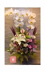 Sempati Flowers (Kayseri, Kocasinan District, Kaldirim Avenue, 51A) ، محل زهور