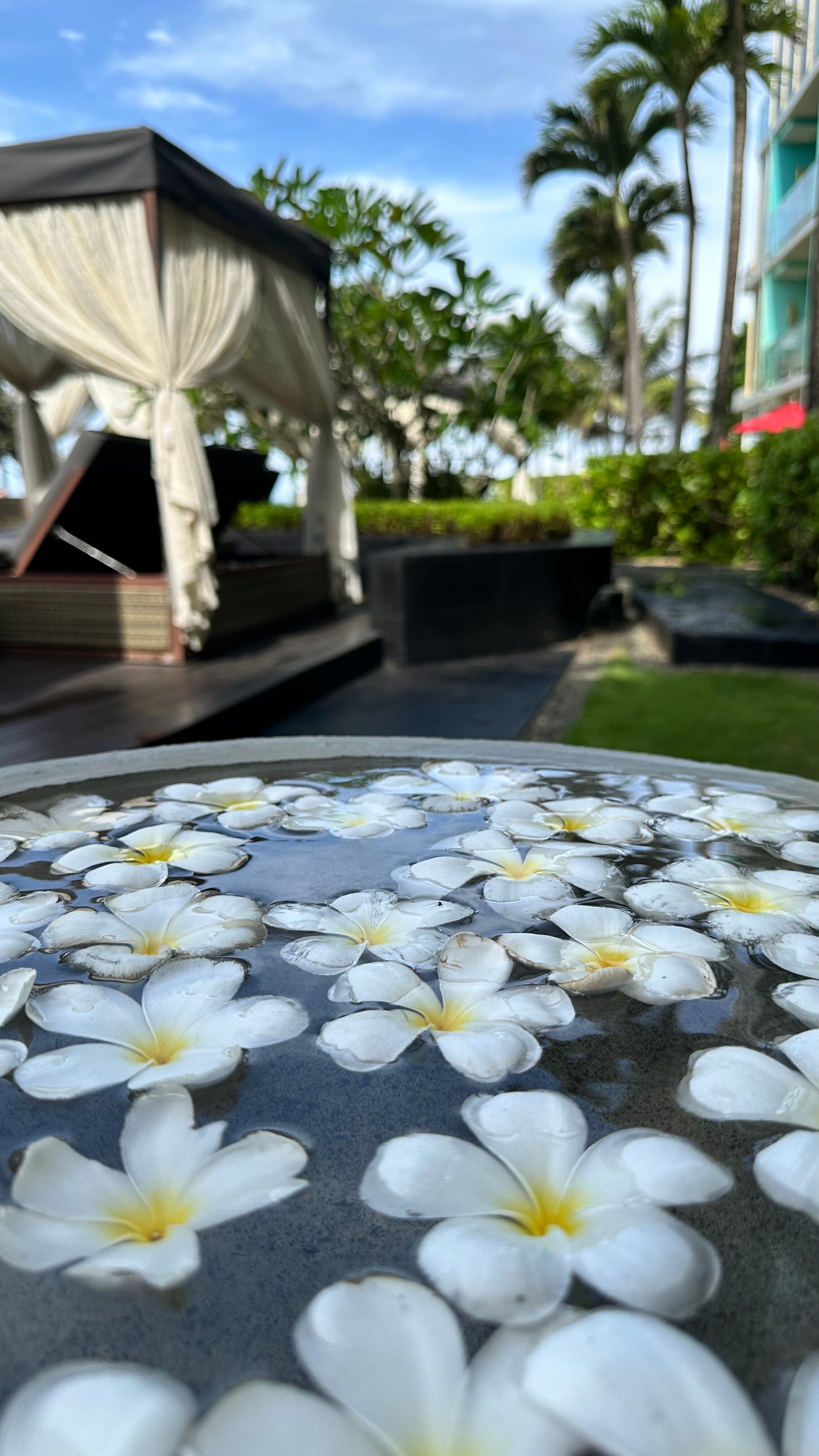 Фото Radisson Blu Resort Galle