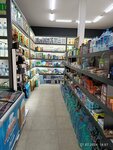 Optom Elyor (Samarkand District, Tong Yog'dusi ko'chasi, 167), grocery