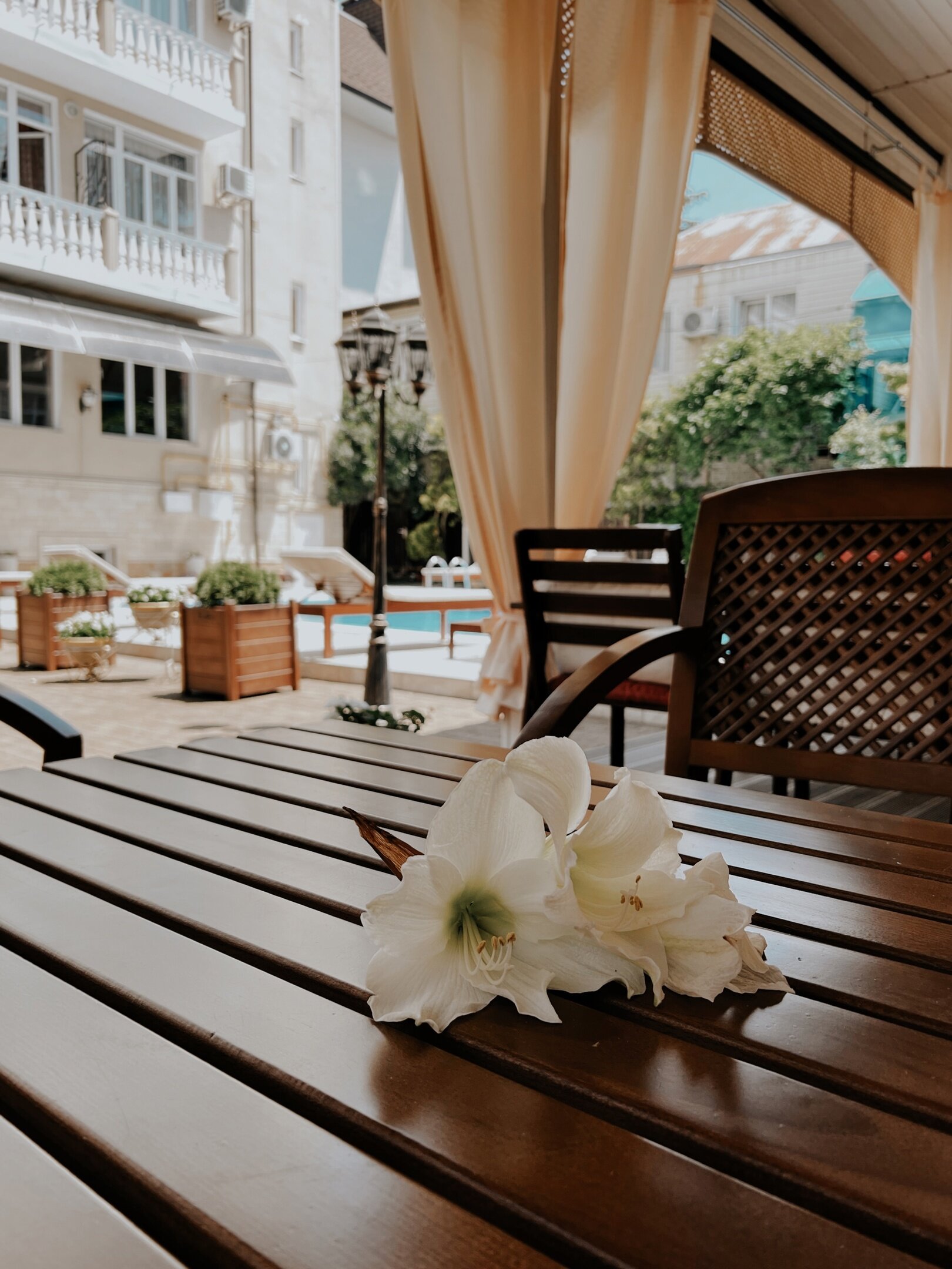 Фото Катран