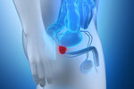 Op. Dr. Serhat Donmezer Urology Specialist - Laser Prostate - Penis Enlargement & Thickening - Penile Aesthetics - Urinary Incontinence (Istanbul, Pendik, Dogu Neighborhood, Madalyon Street, 2) ، أطباء بعيادات خاصة