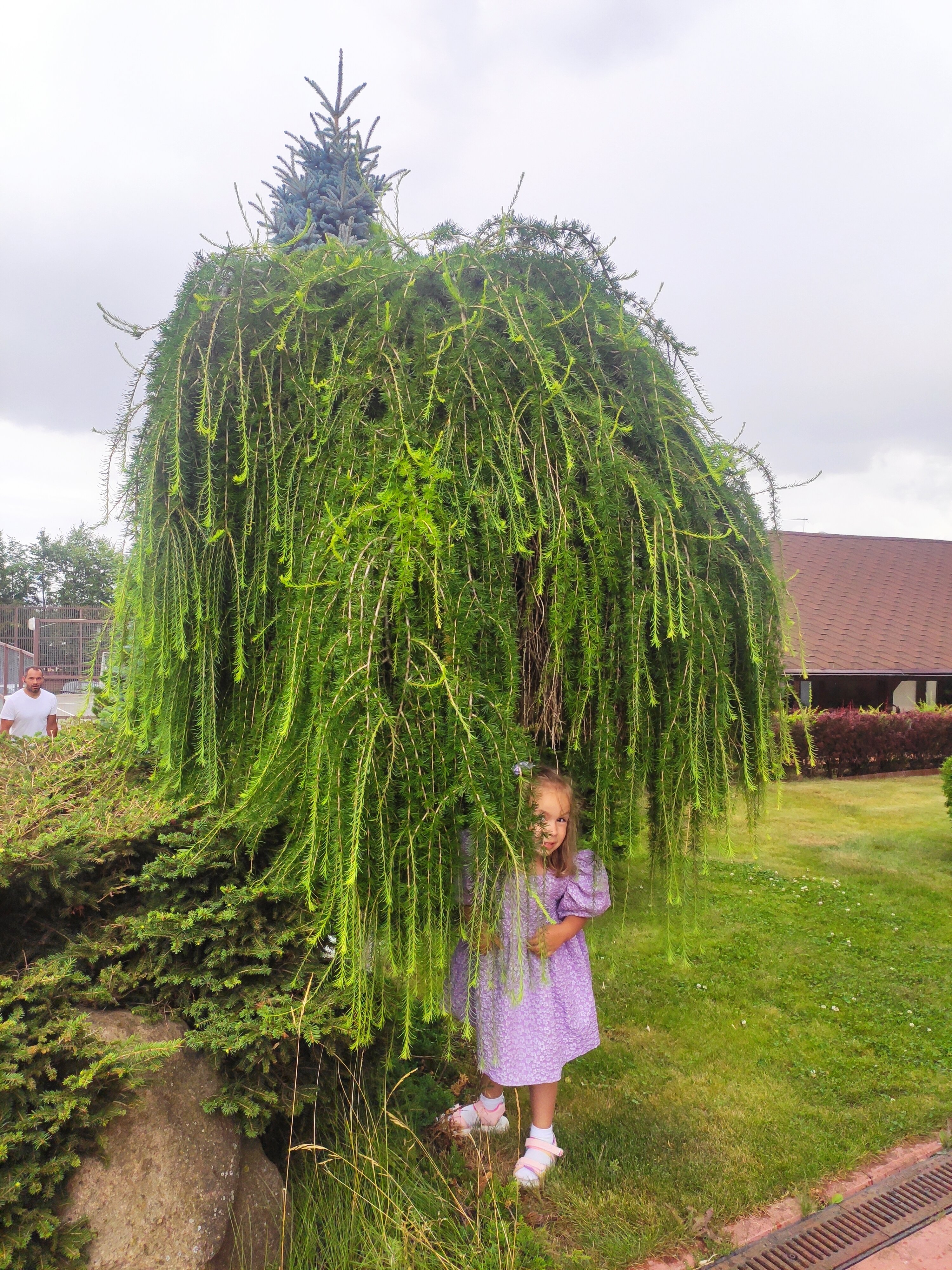 Фото Ю Питер