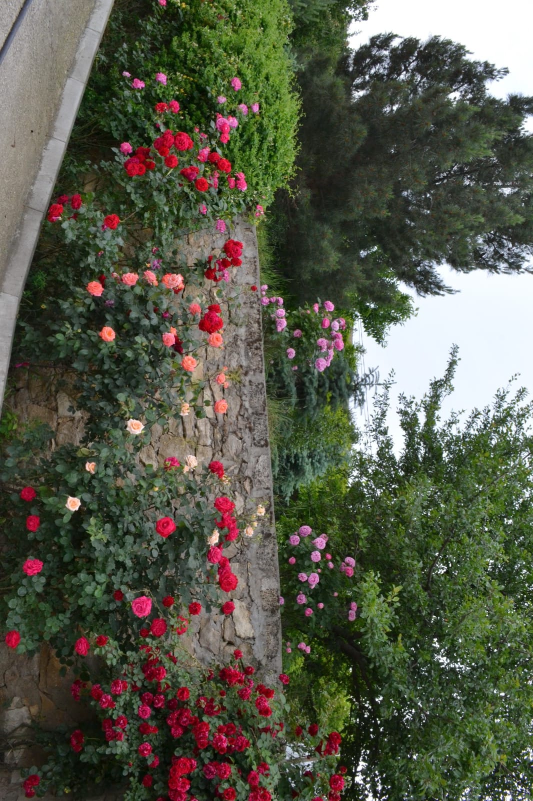 Фото В Тарках