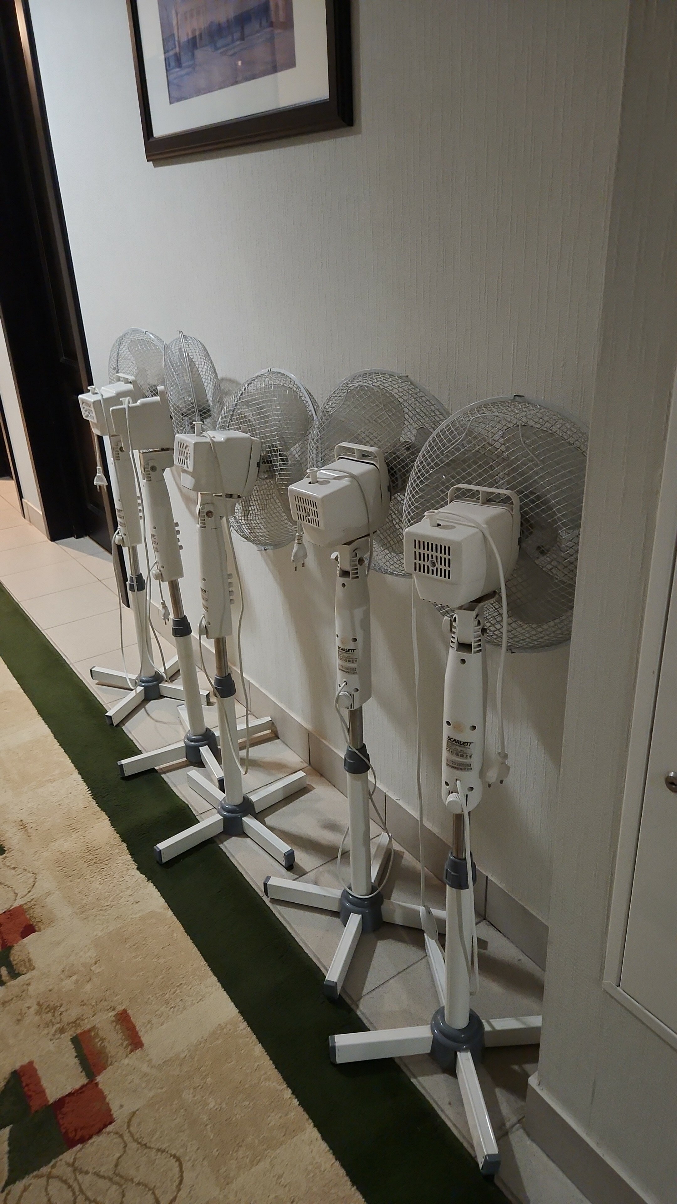 Фото Калита