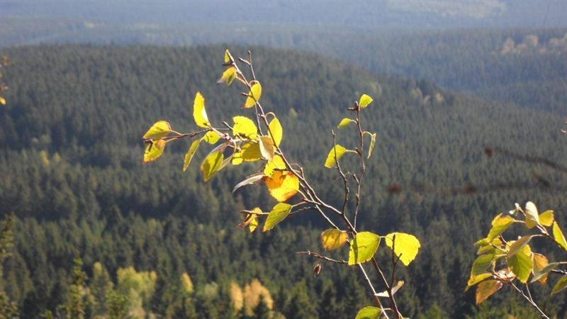 Фото Hotel Schlossblick