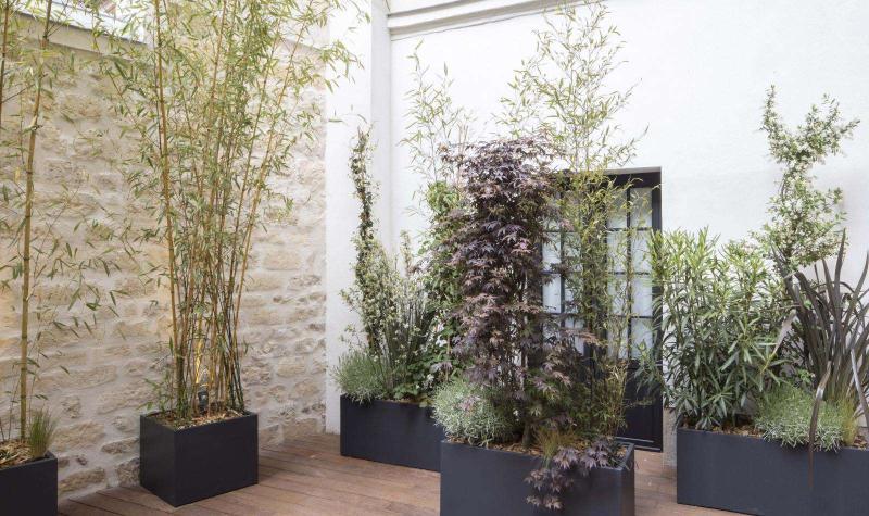 Фото Hotel Parisianer