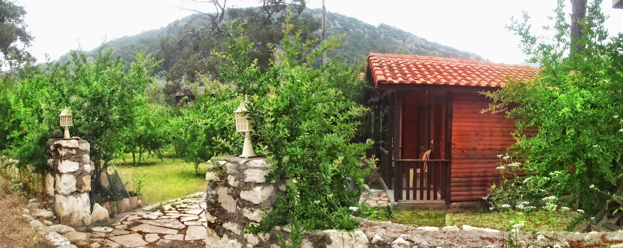 Фото Koala Bungalows