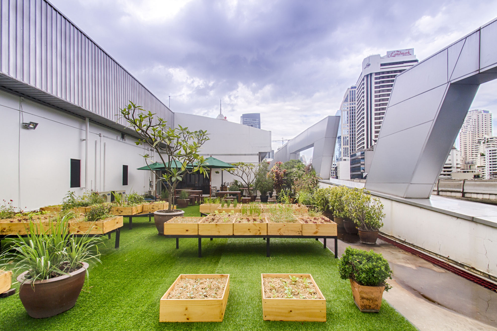 Фото Hom hostel & cooking club