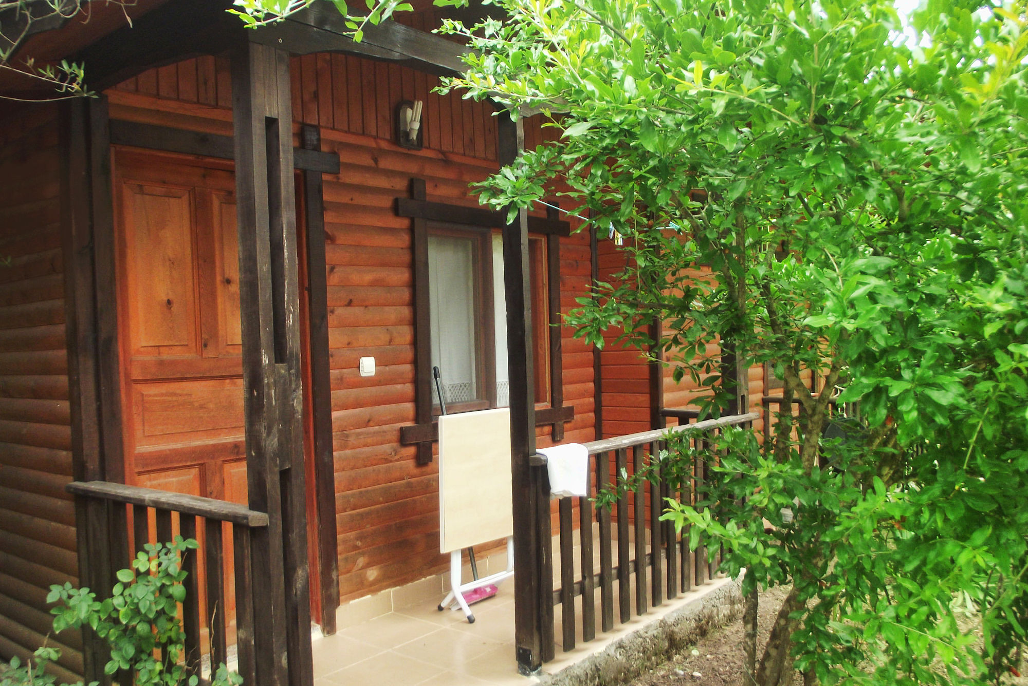 Фото Koala Bungalows