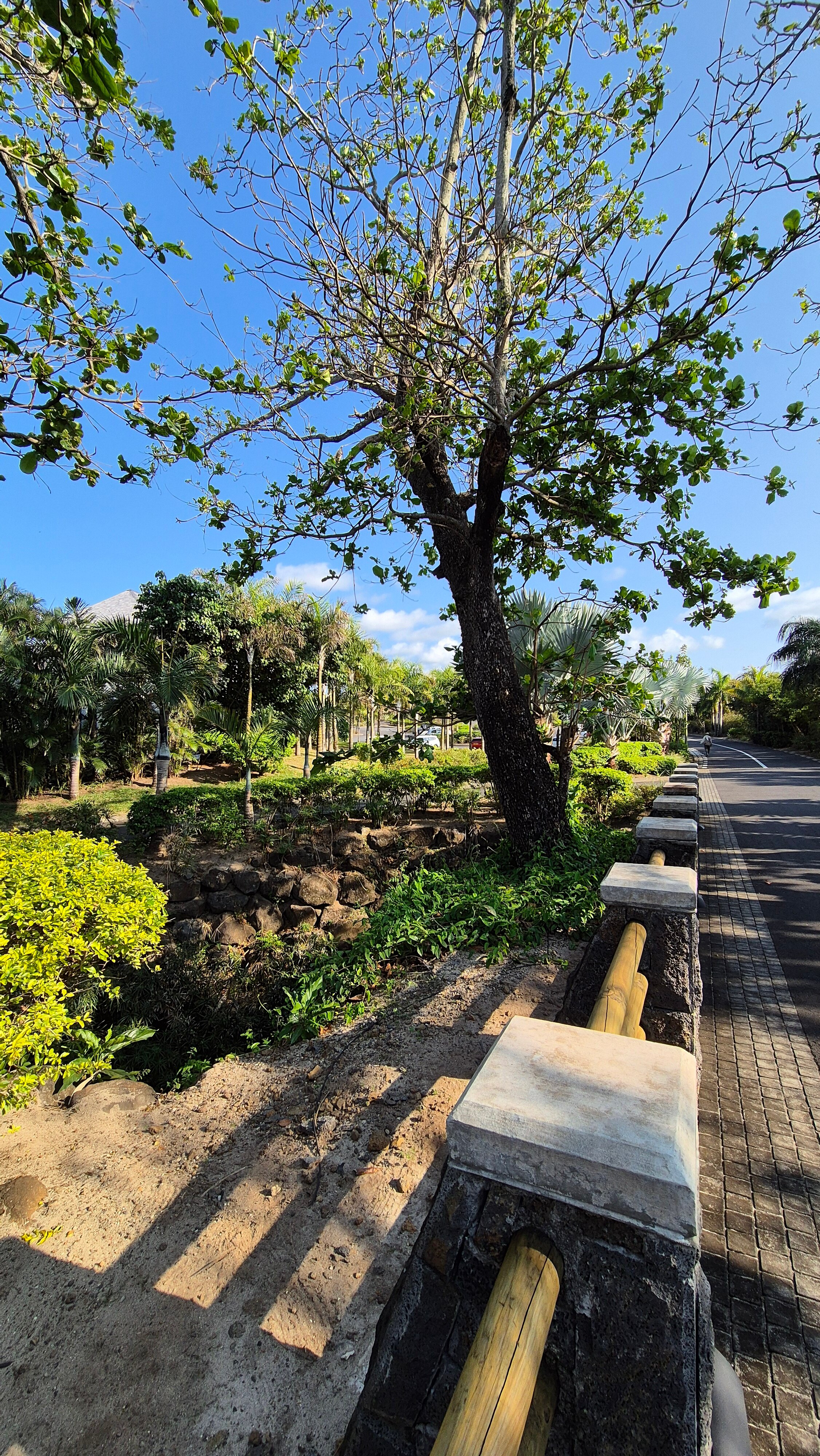 Фото Anantara Iko Mauritius Resort & Villas