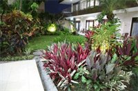 Фото Hotel Wilis Indah Malang