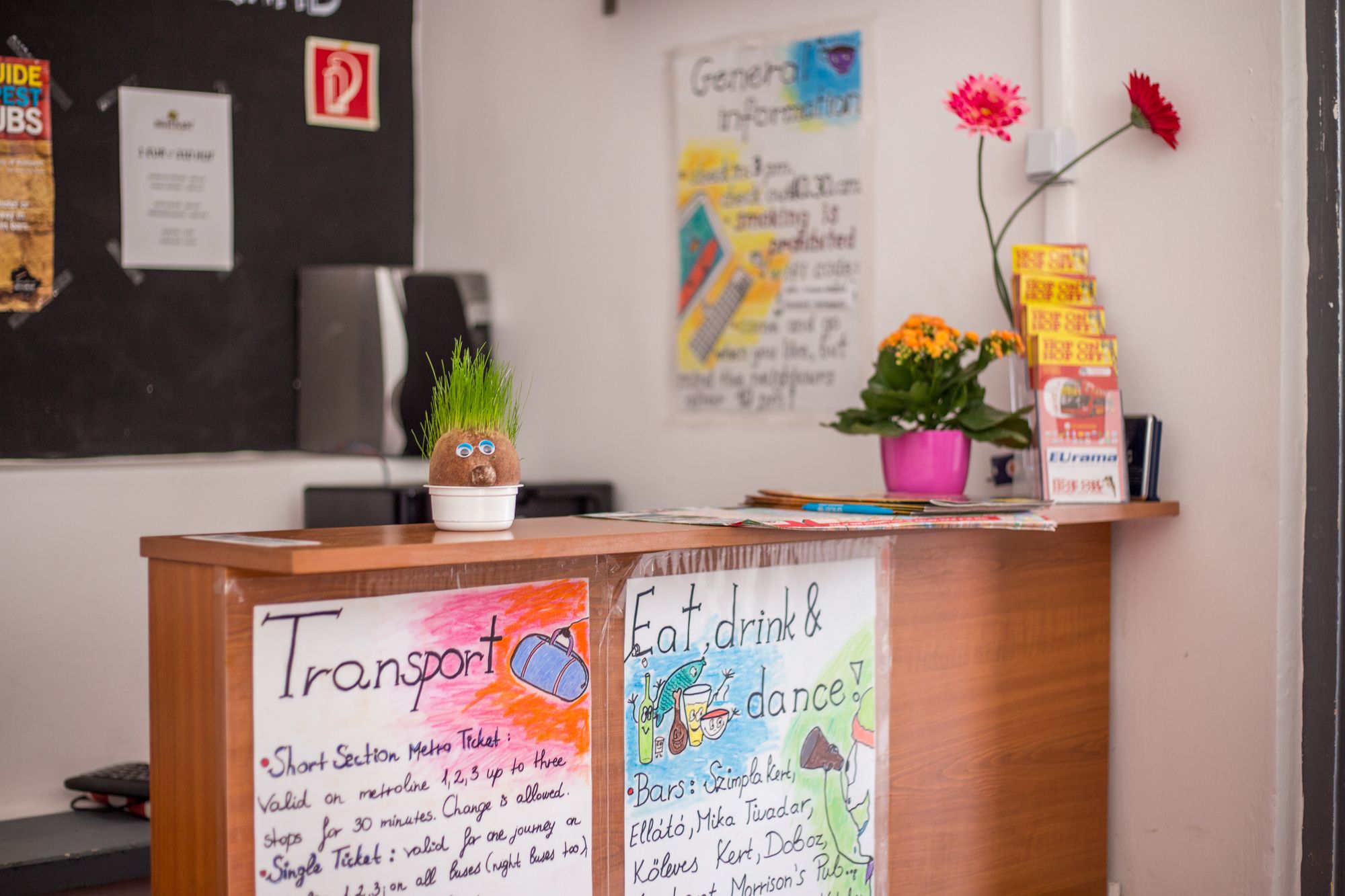 Фото Island Hostel